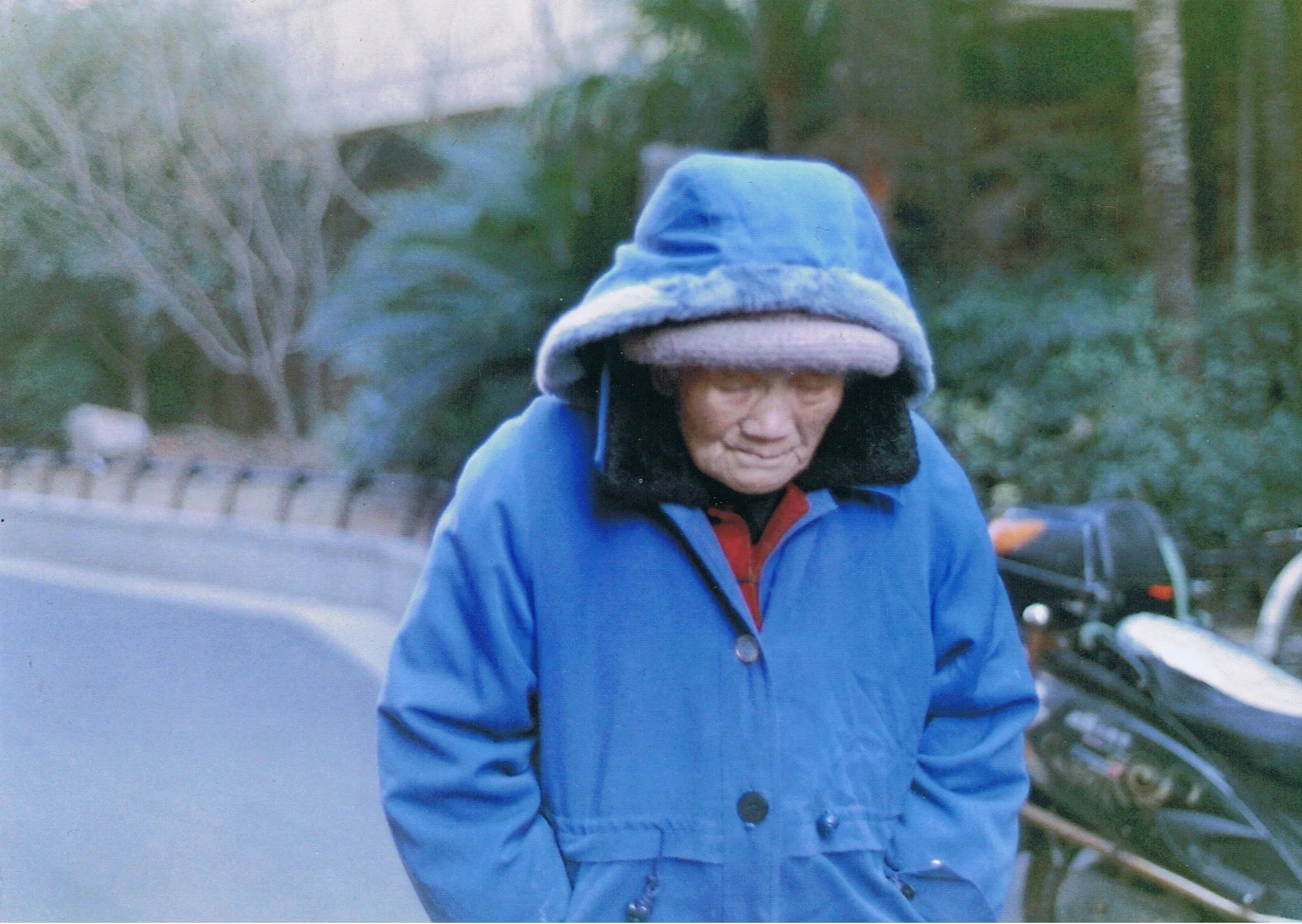 Shanghai-Superia-Vol.2 22.jpeg