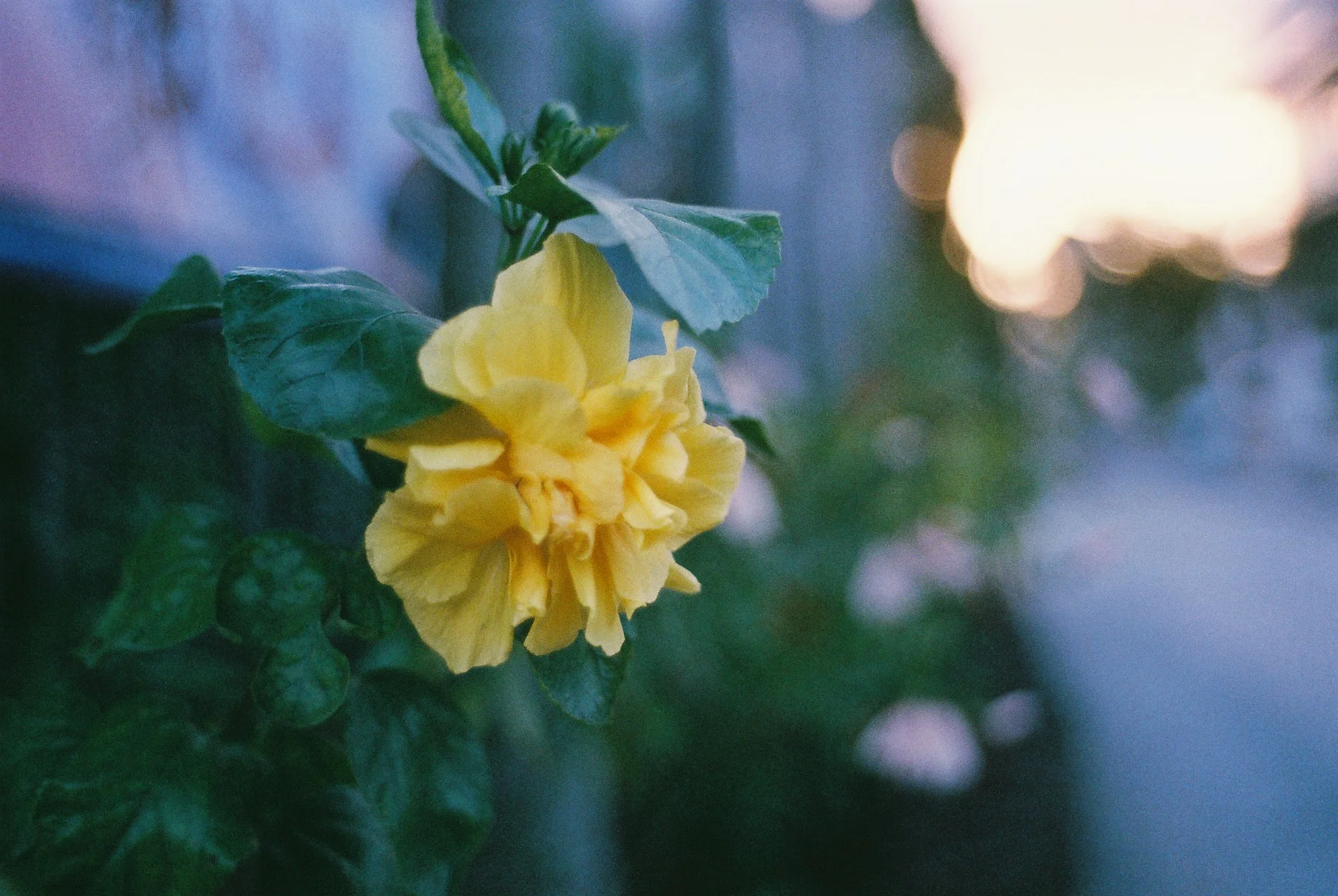 0287_004.JPG
