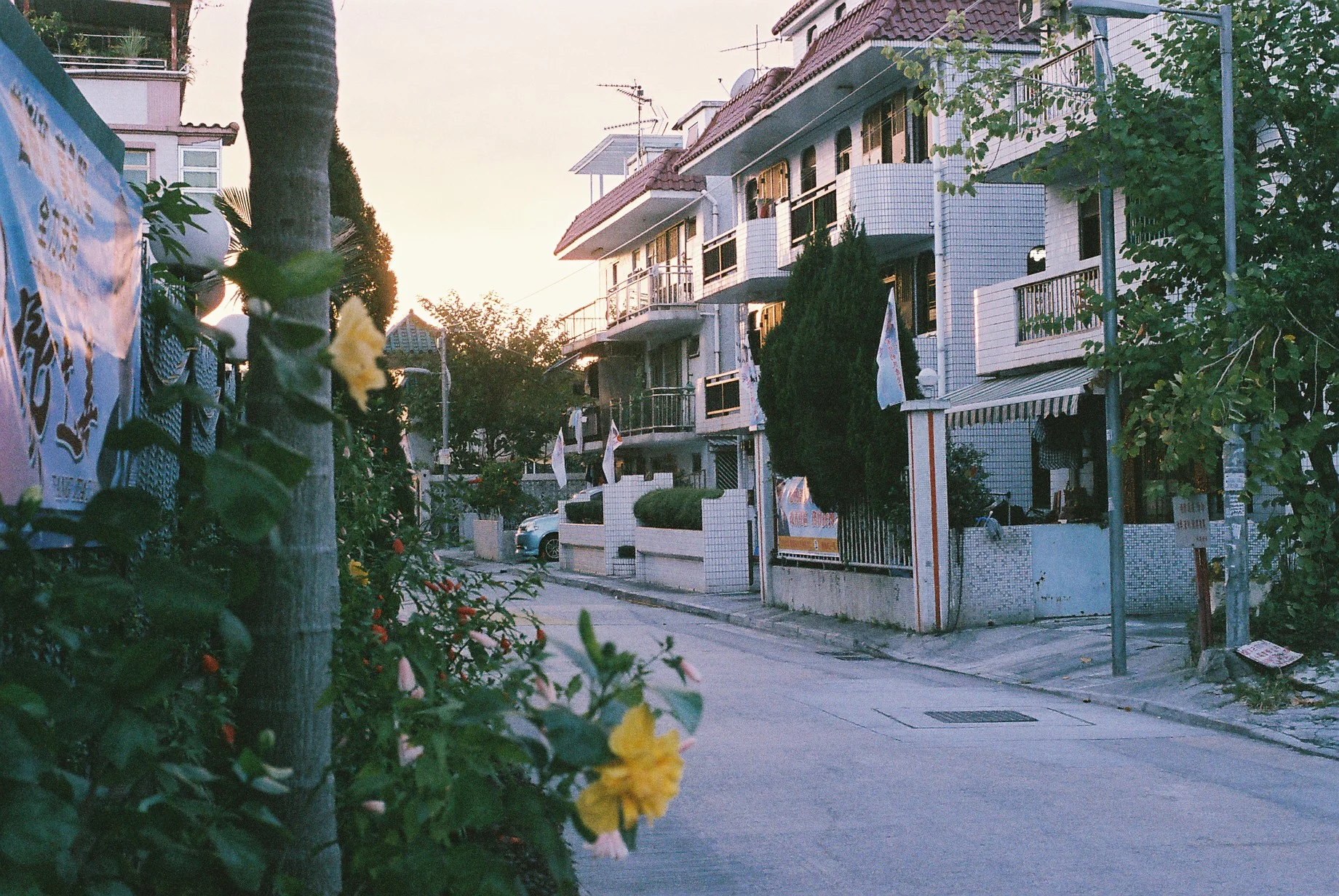 0287_003.JPG