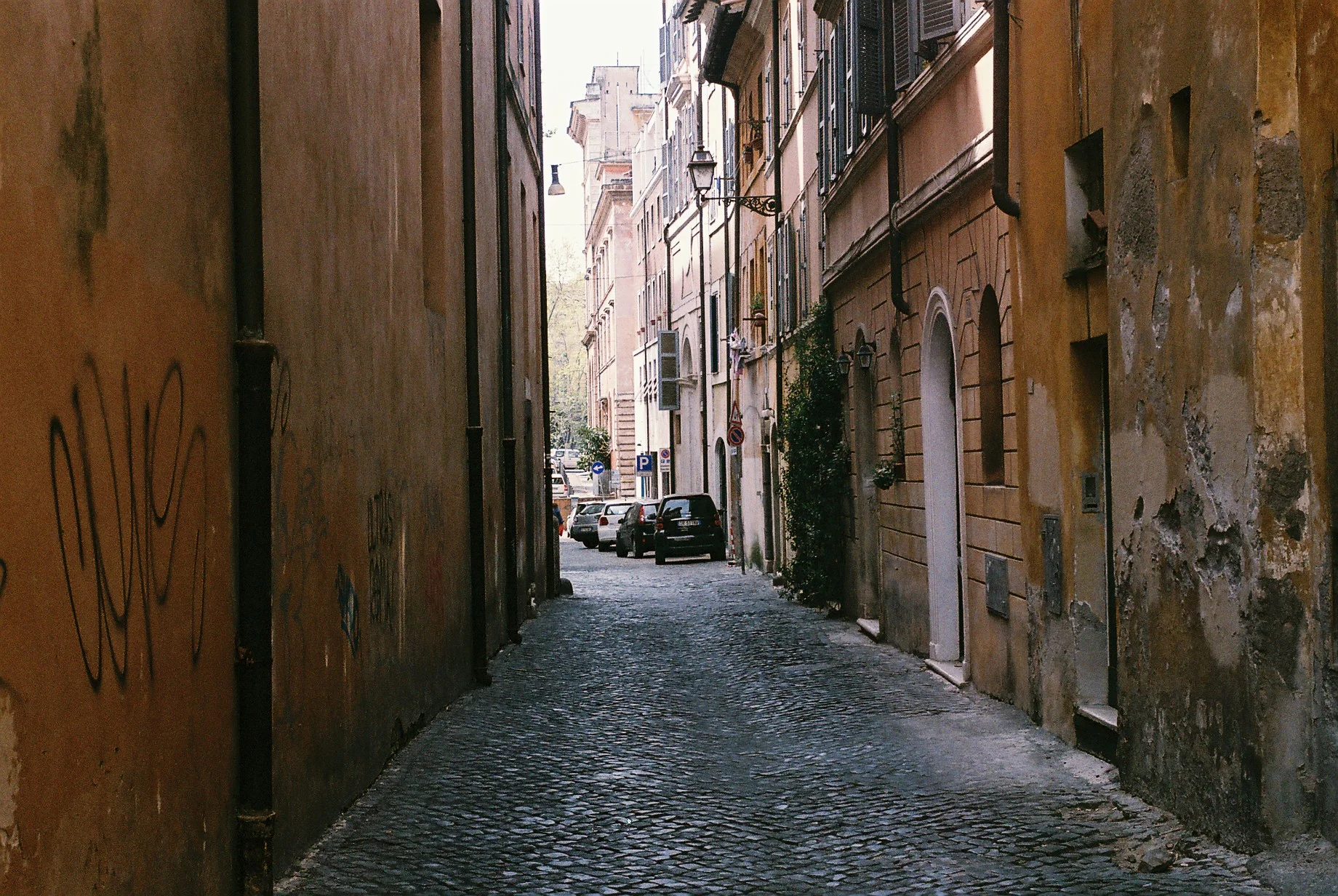 0287_033.JPG
