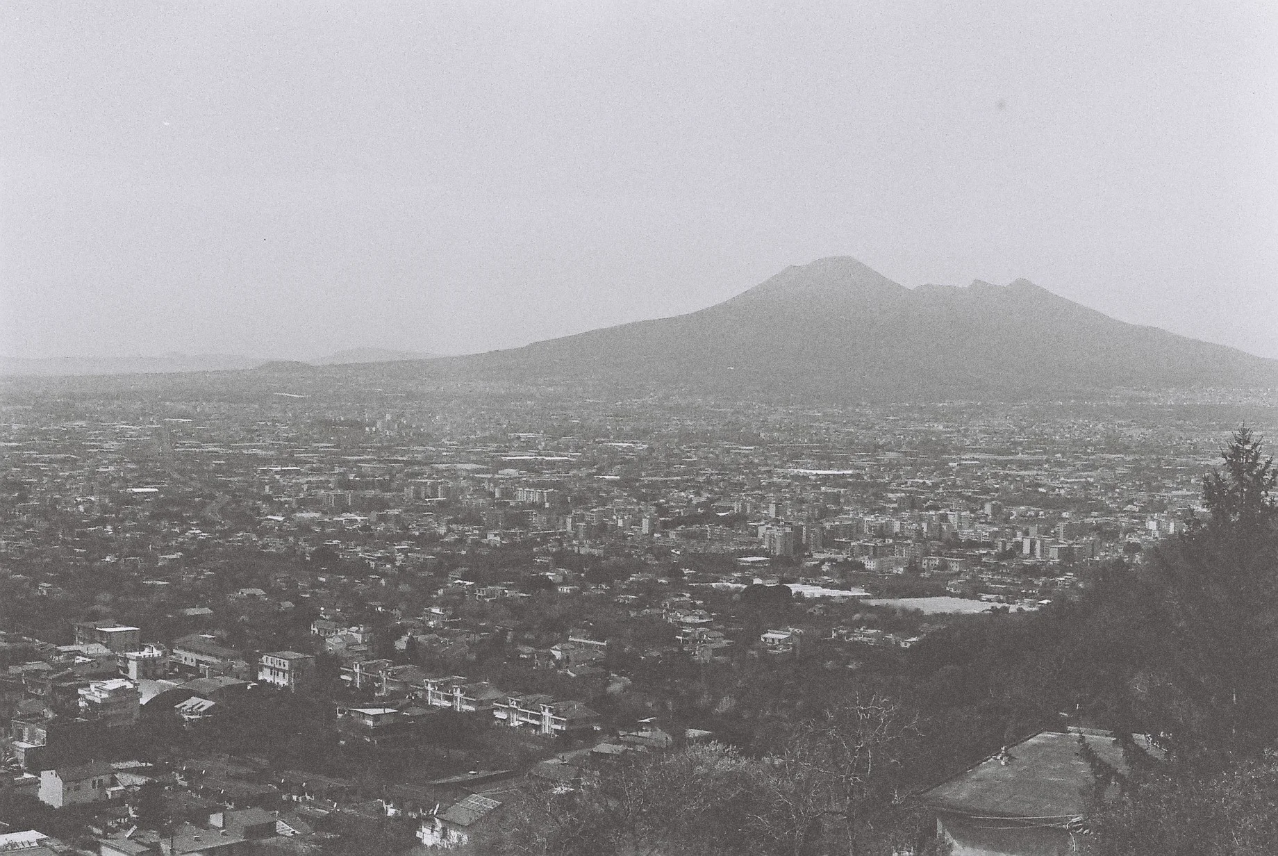 0286_002.JPG