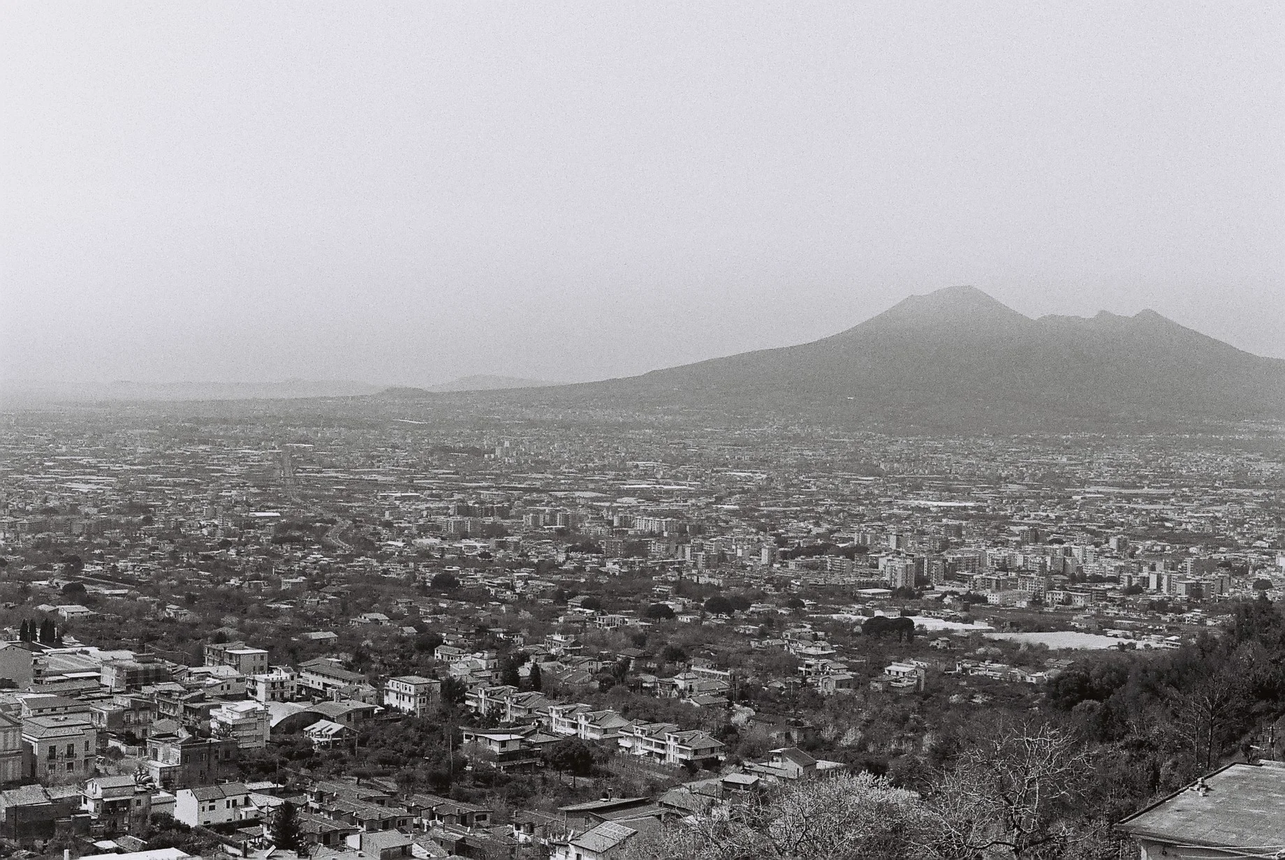 0286_004.JPG