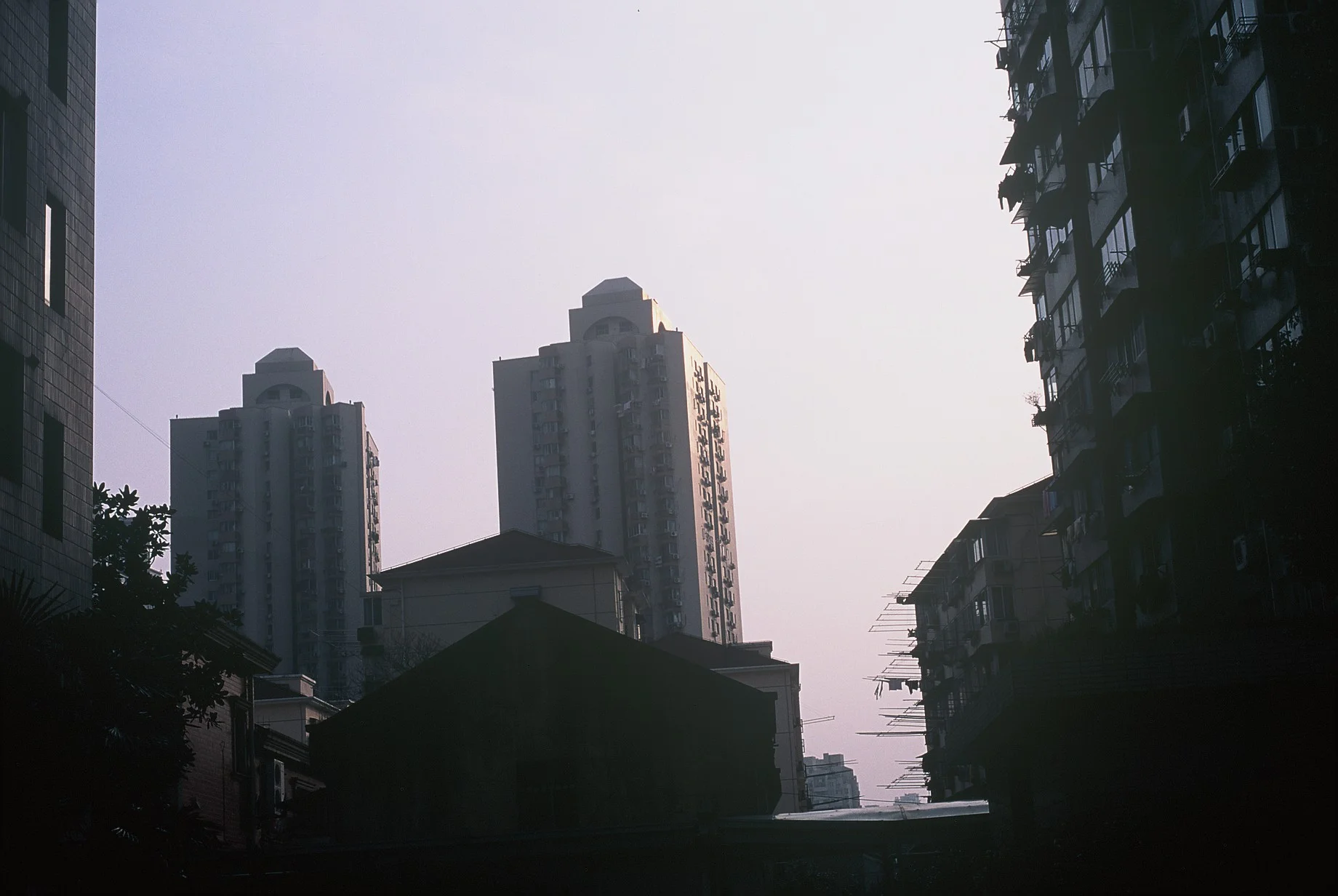 4154_007.JPG