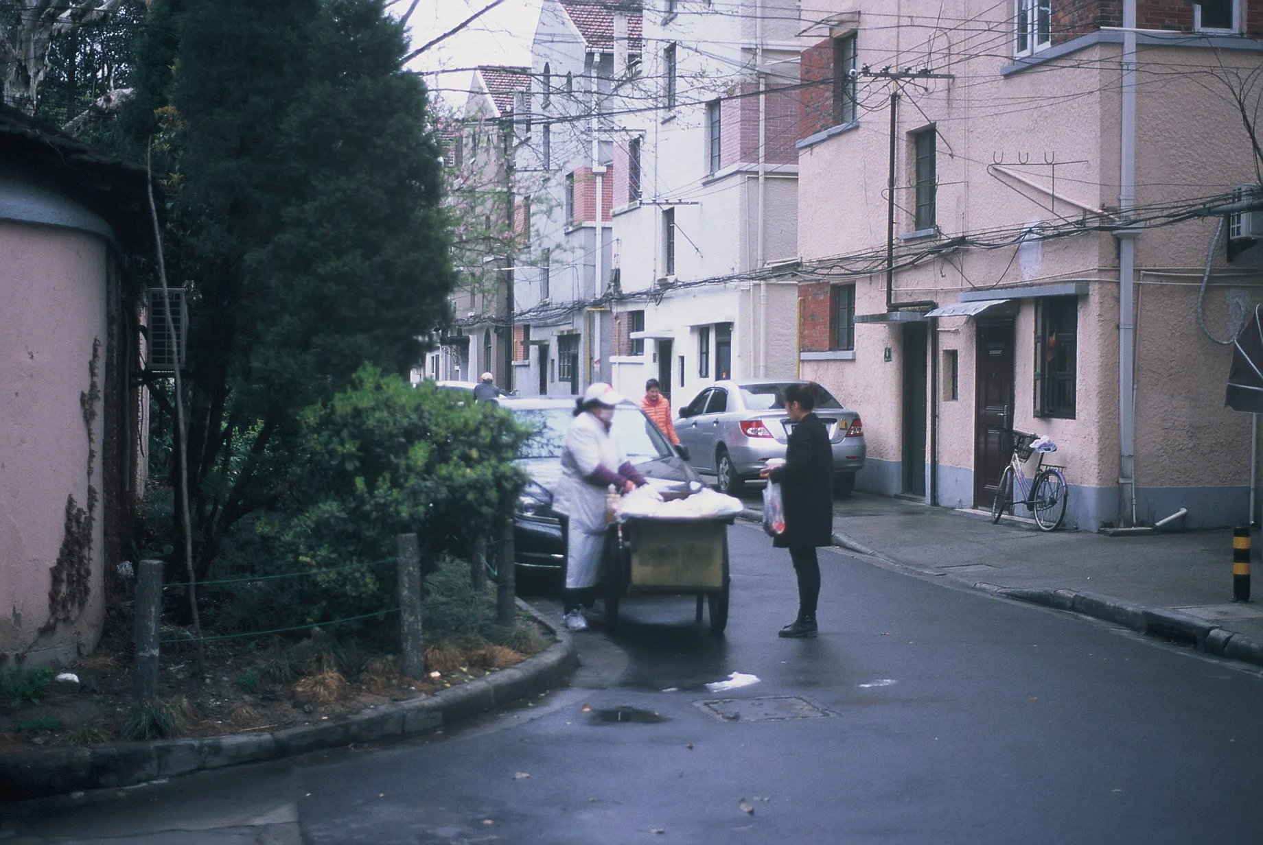 4154_009.JPG
