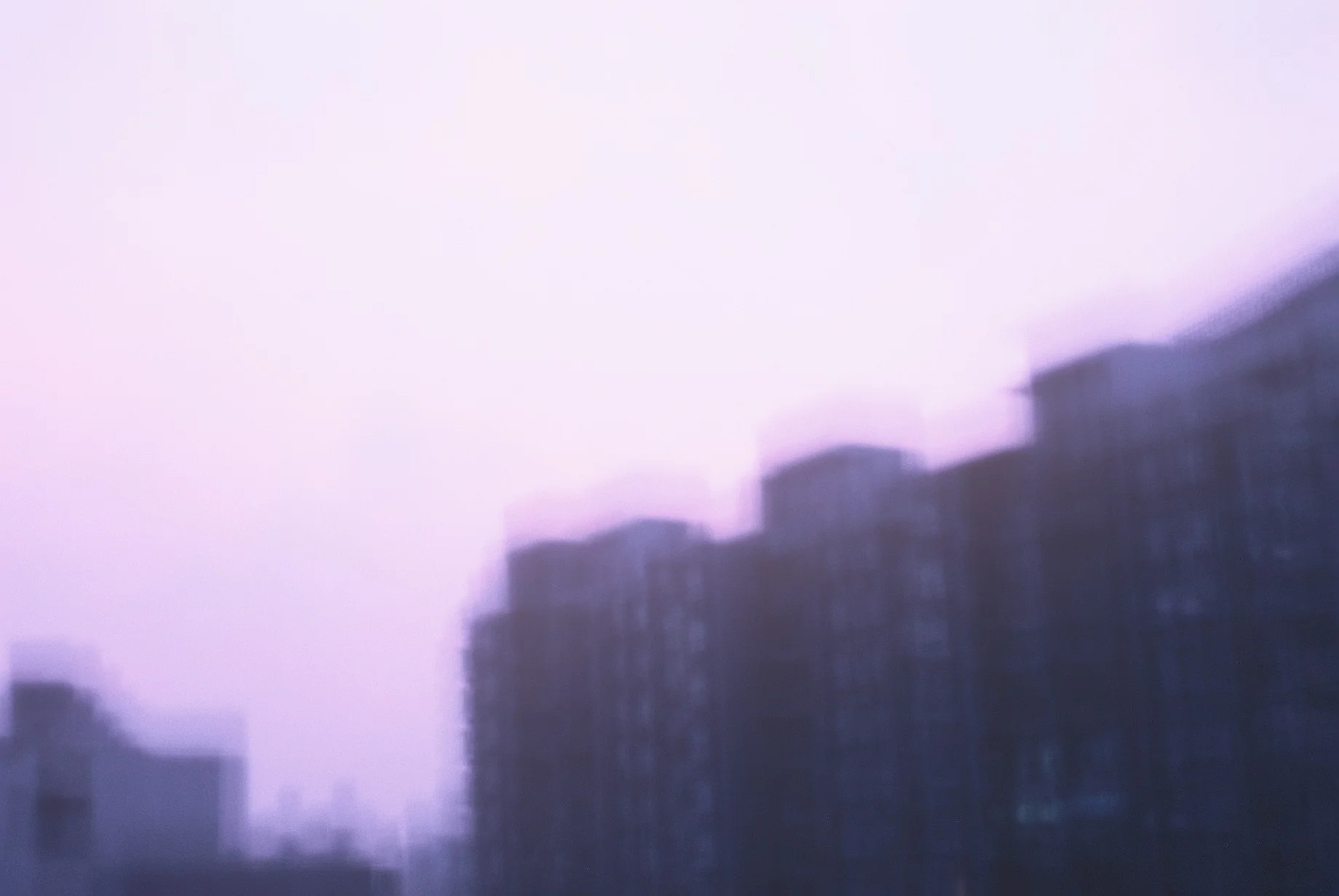 4154_010.JPG