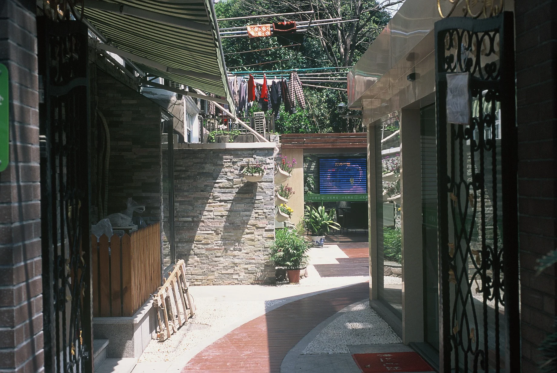 4154_024.JPG