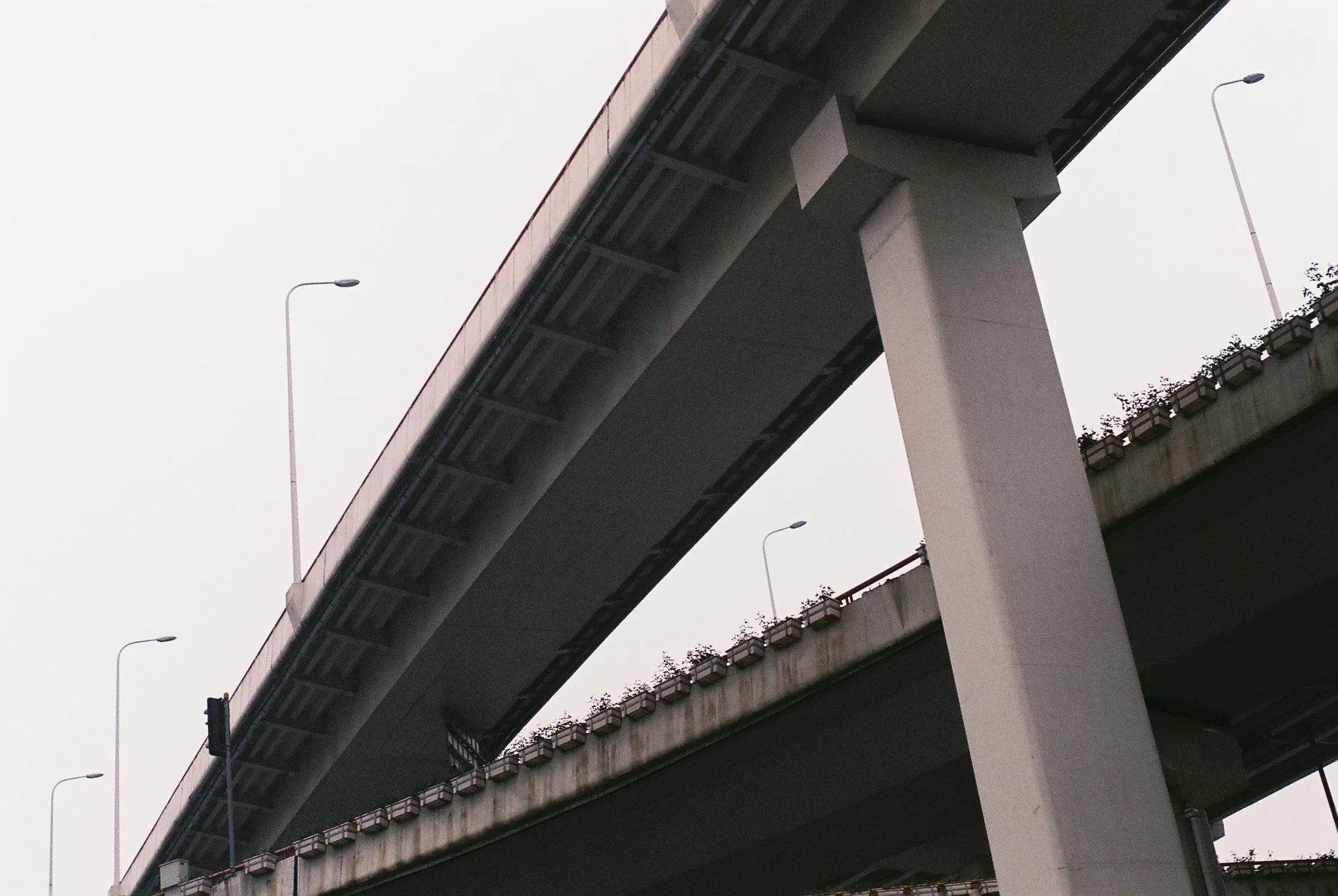 0740_013.JPG