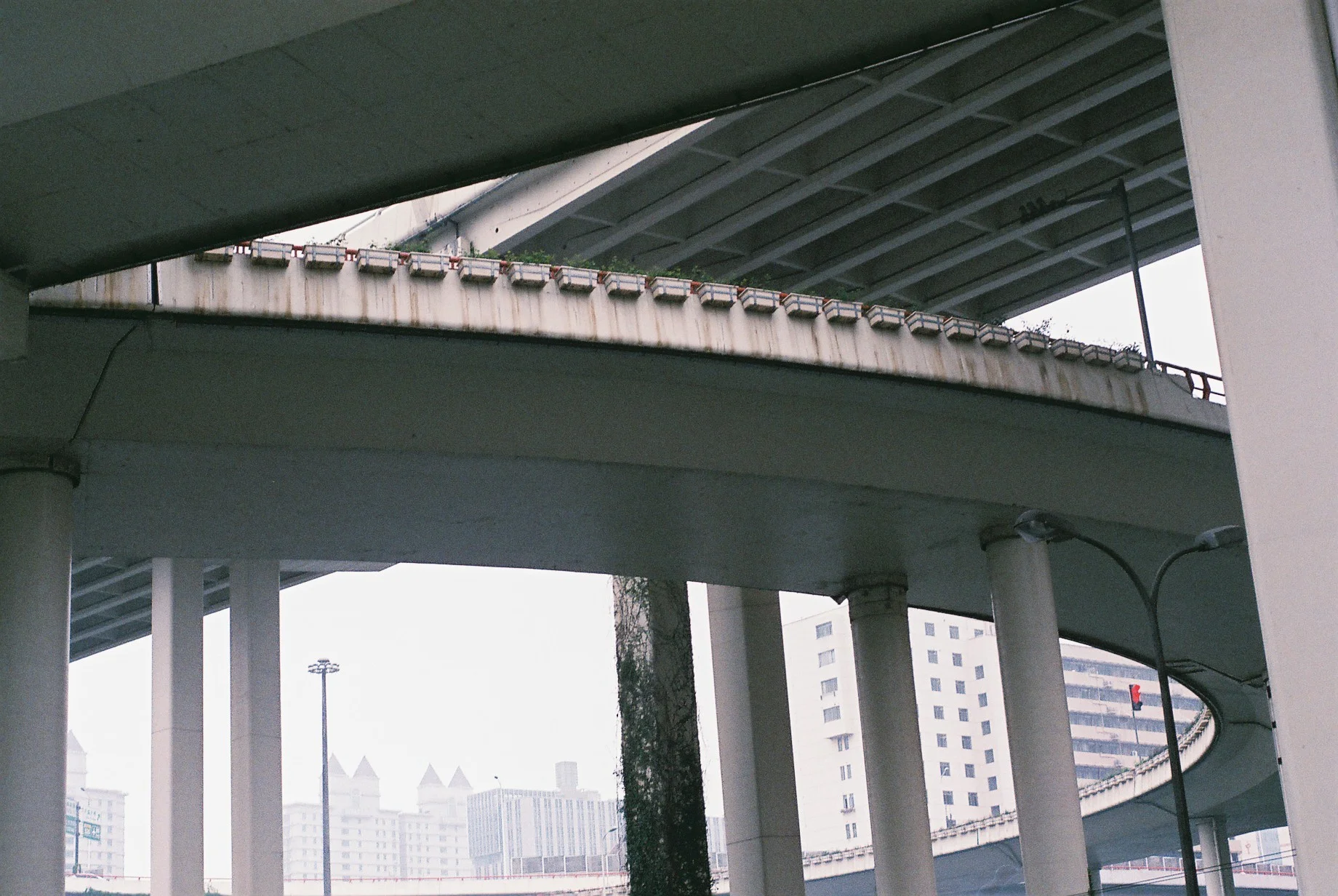 0740_014.JPG