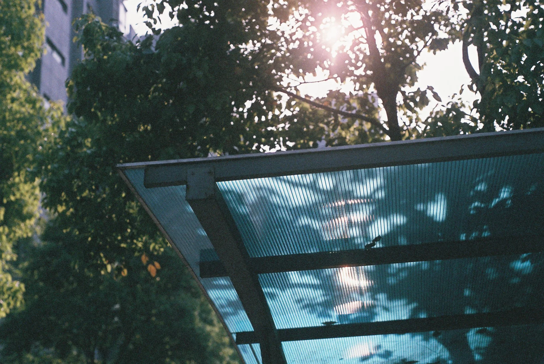 0740_018.JPG