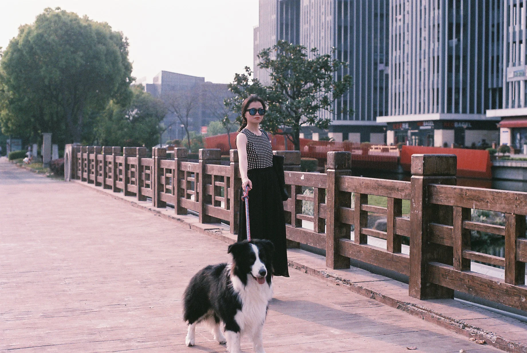 0740_031.JPG