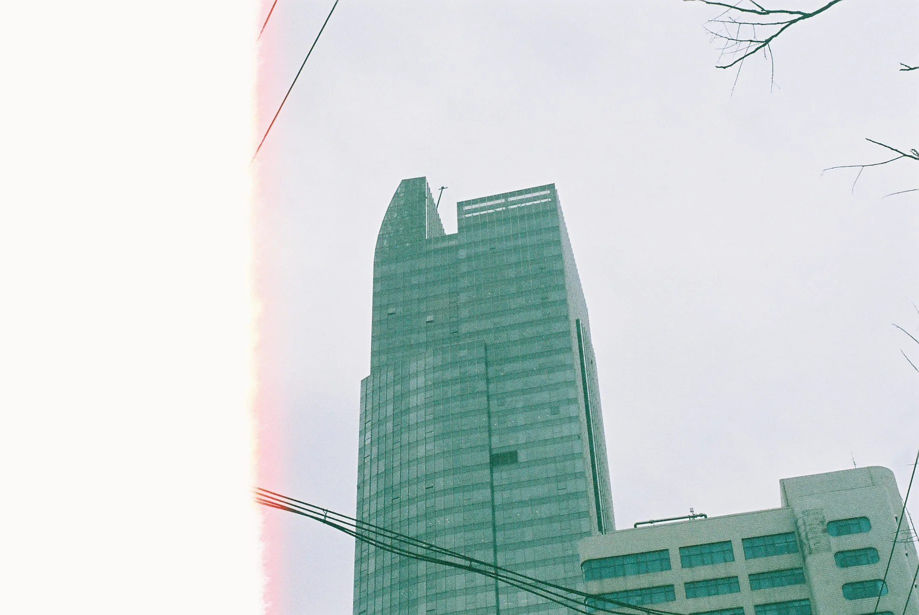 0738_001.JPG