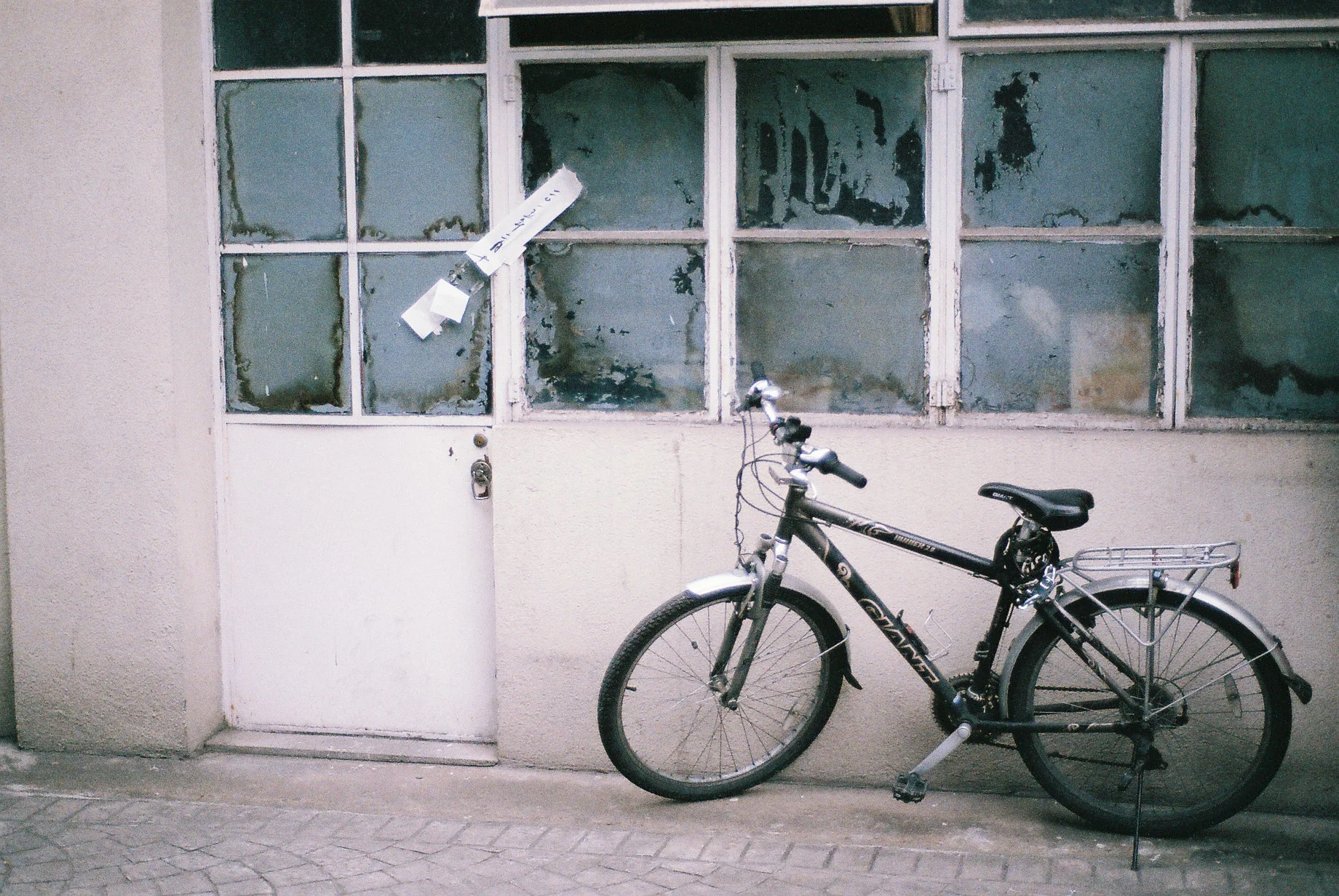 0738_004.JPG