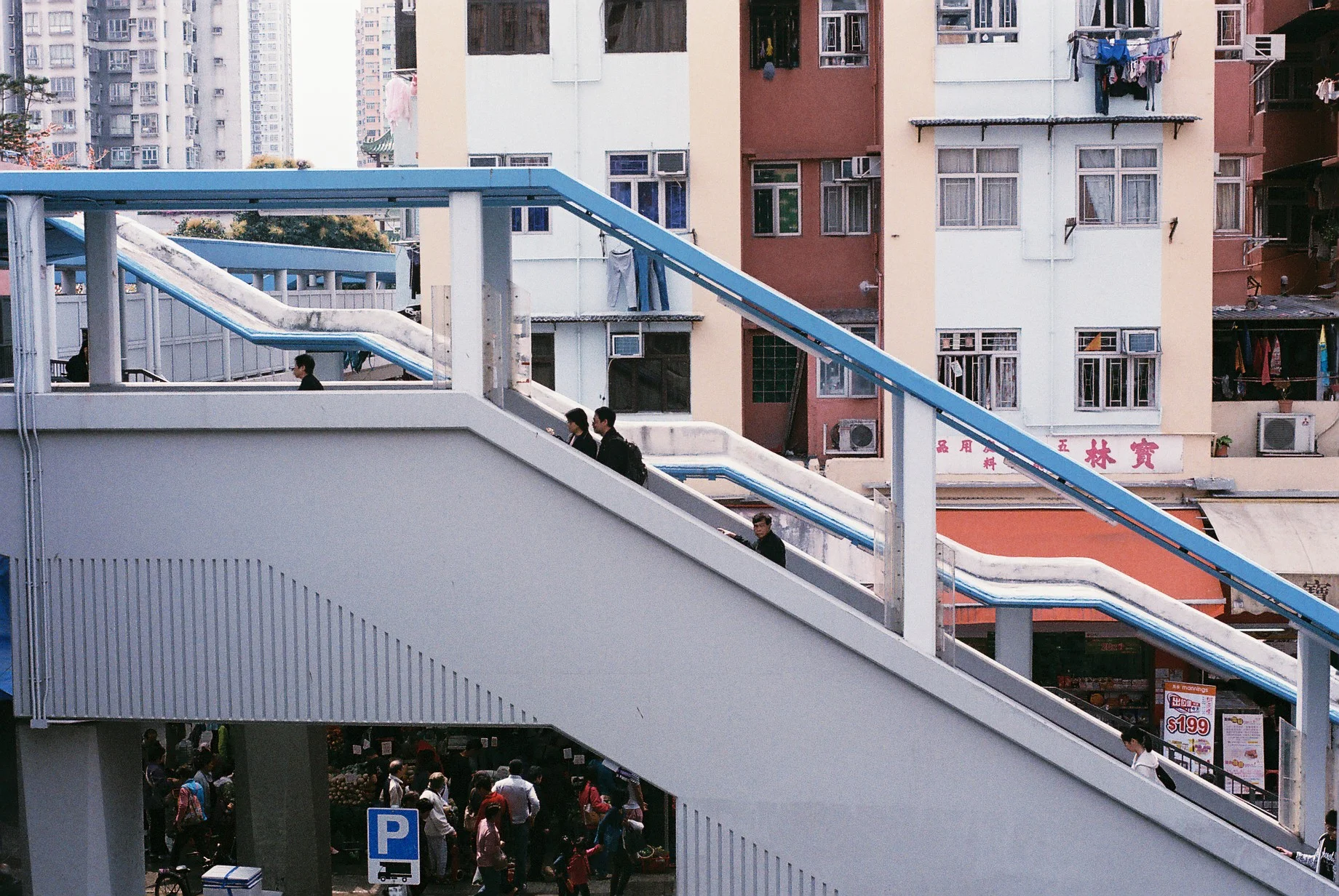 0738_010.JPG