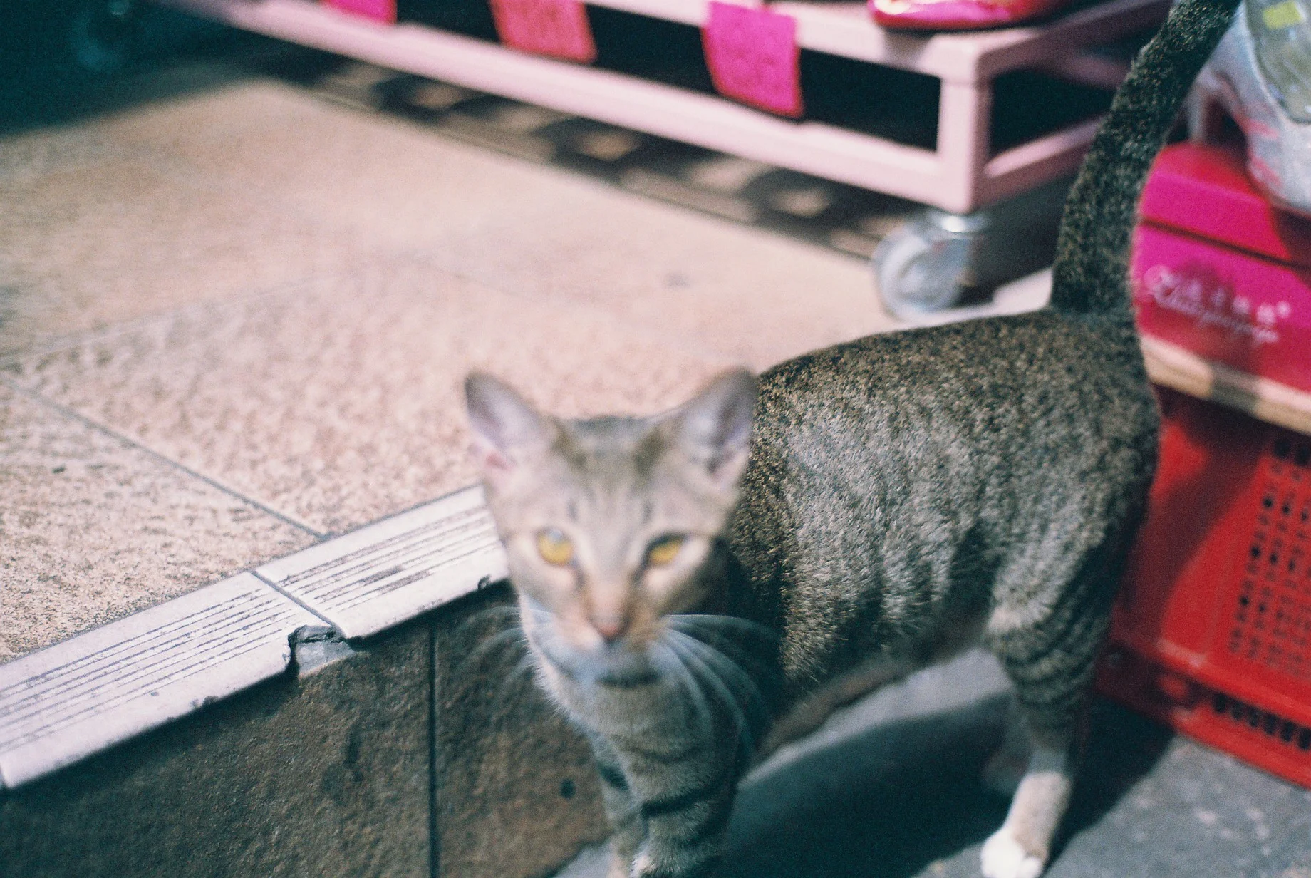 0738_015.JPG
