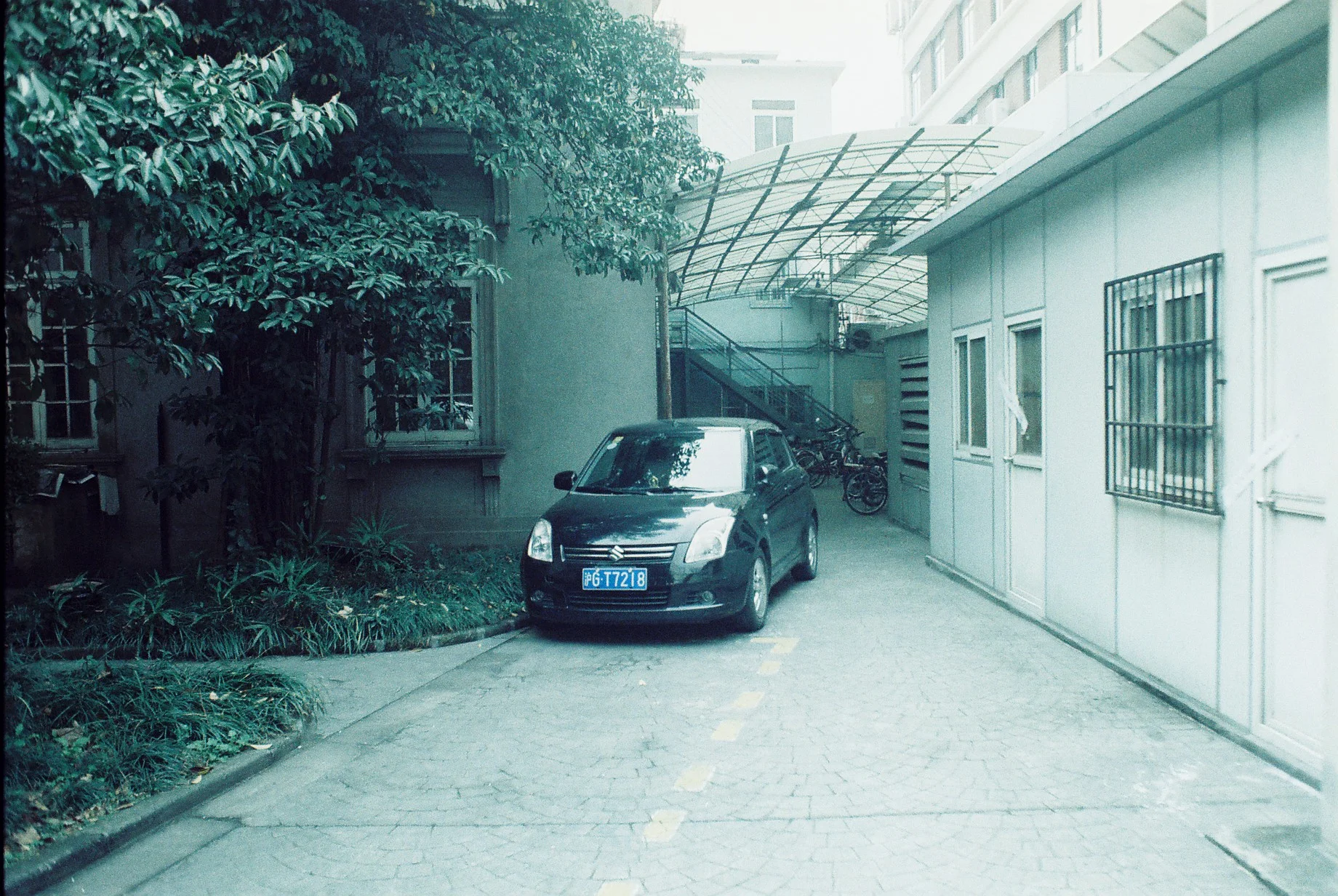 0739_007.JPG