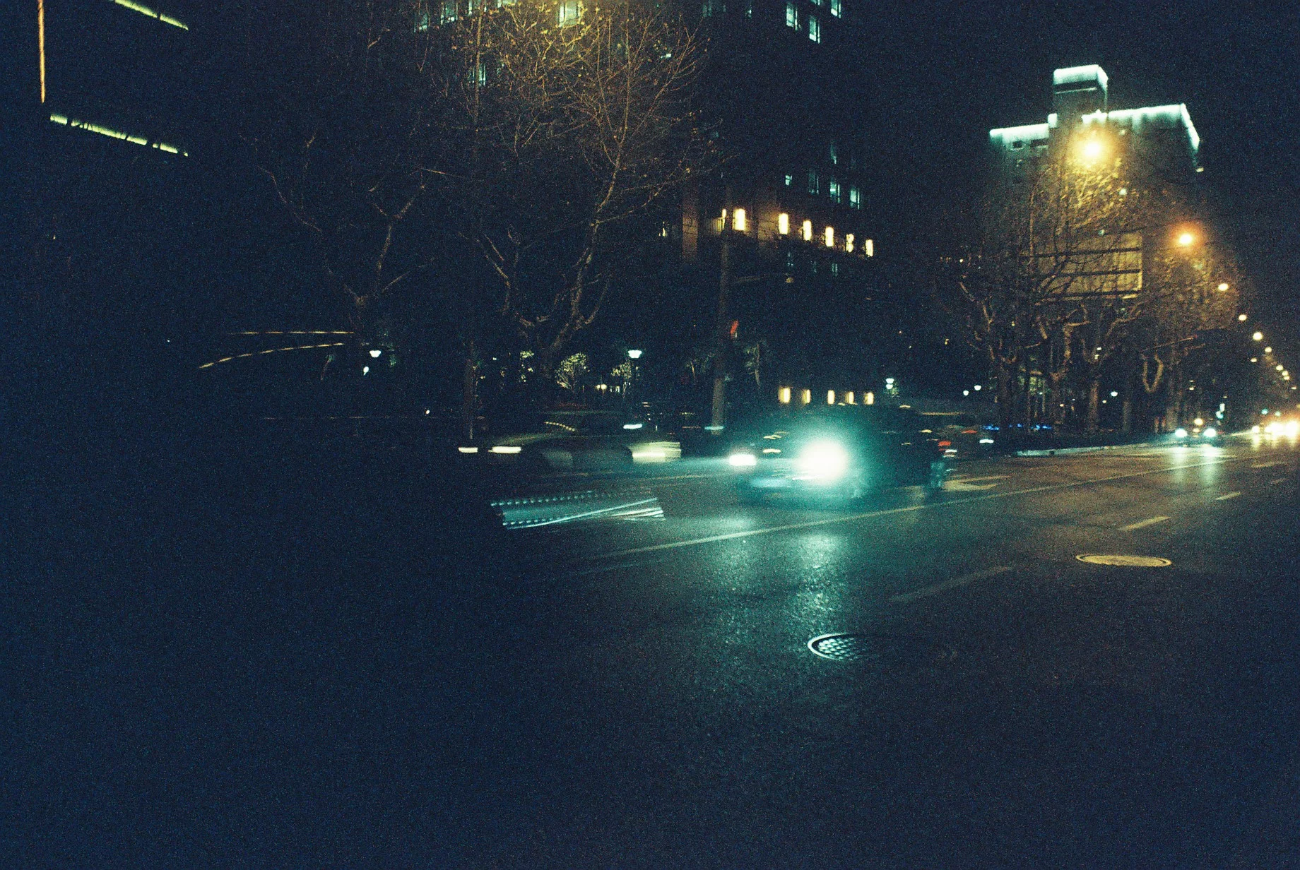 0739_010.JPG