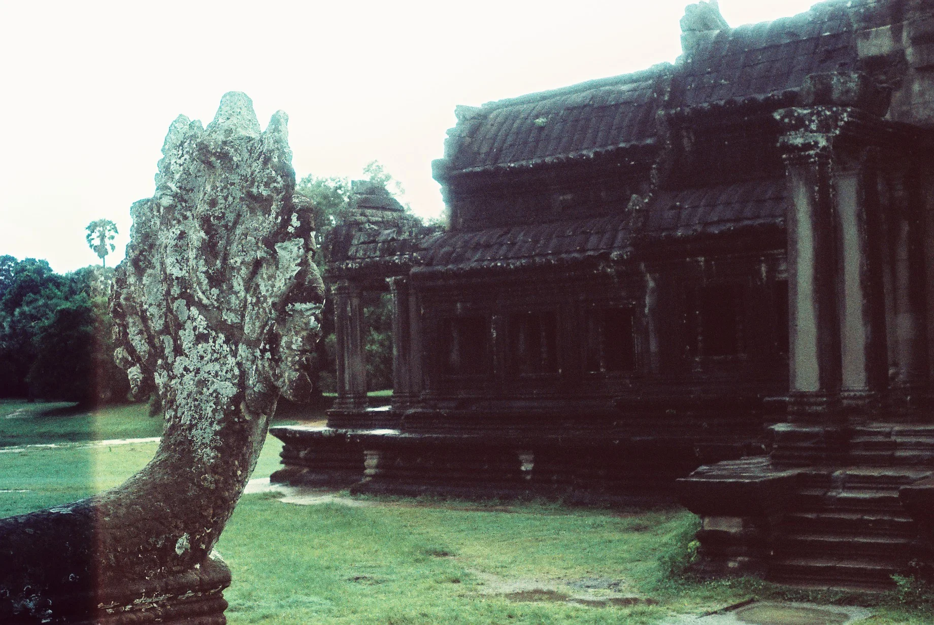 0820_001.JPG