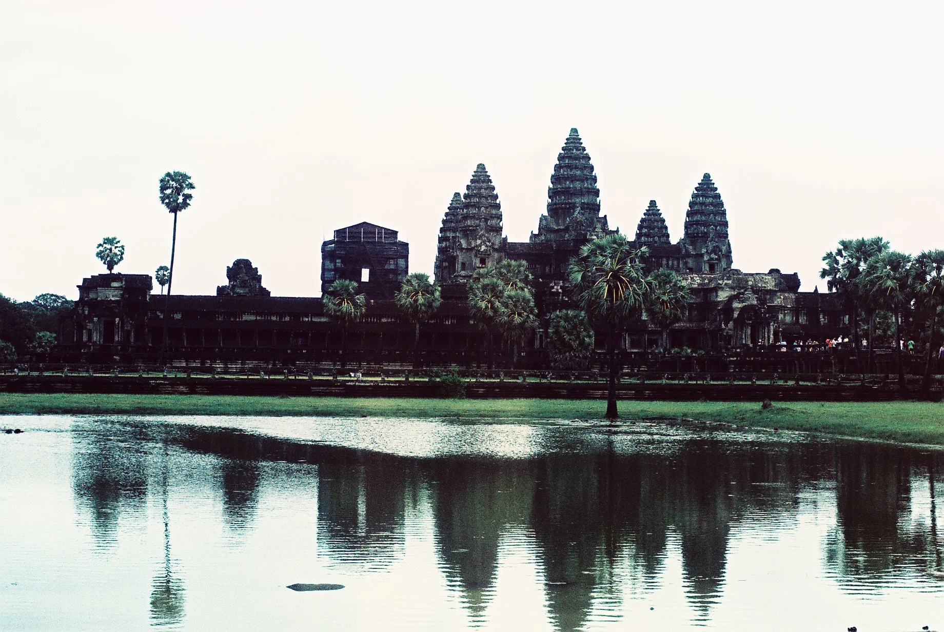 0820_003.JPG
