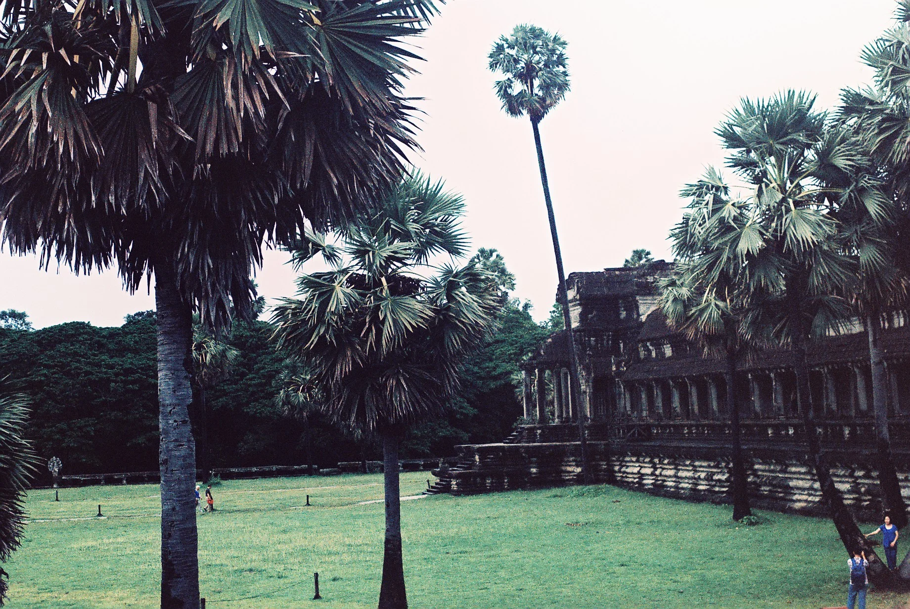 0820_004.JPG