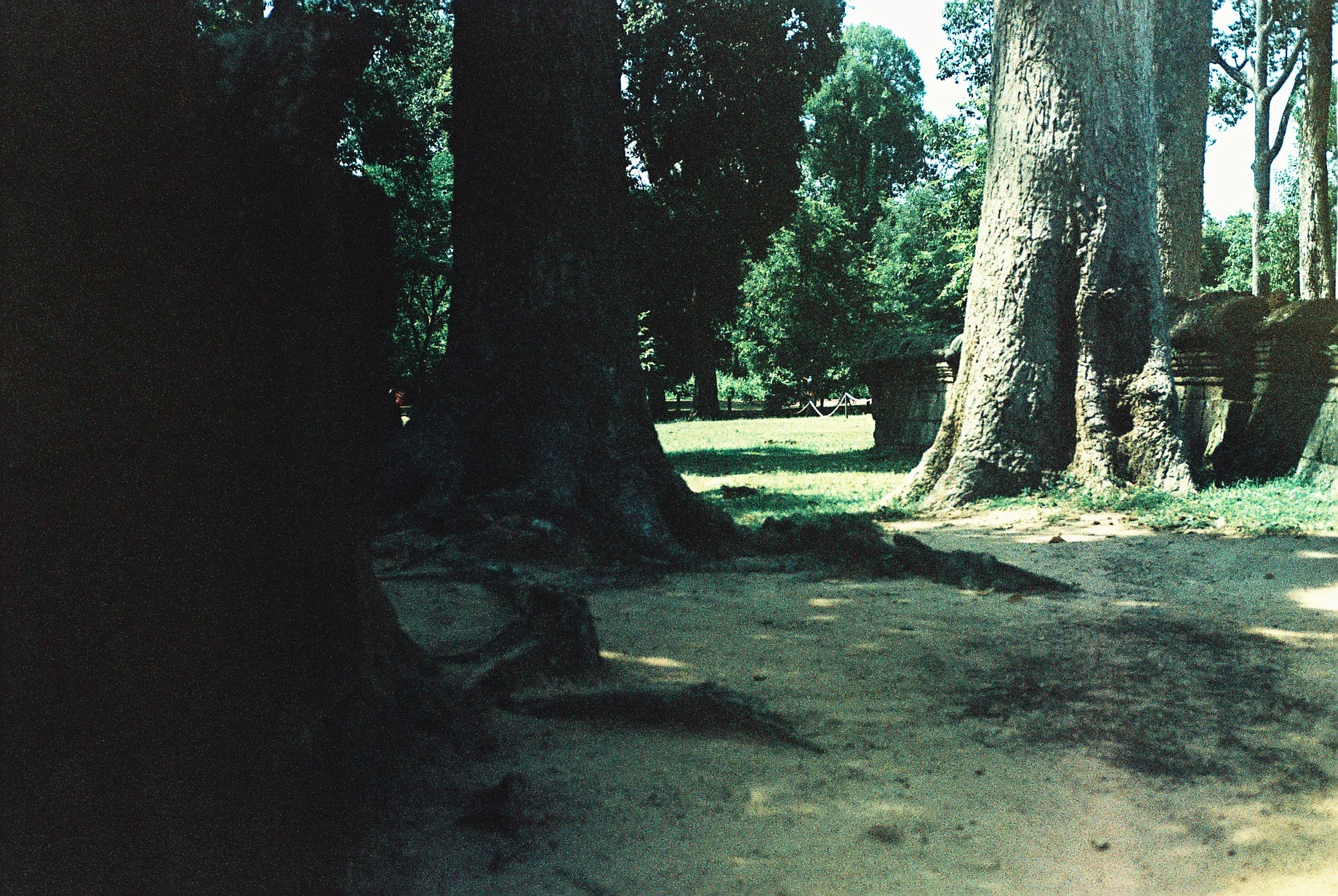 0820_020.JPG