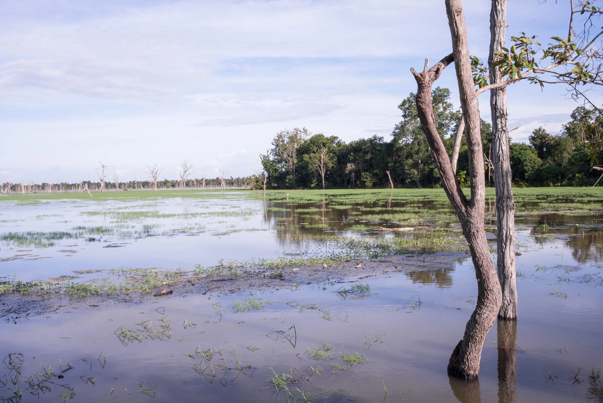 Siem Reap-34.jpg