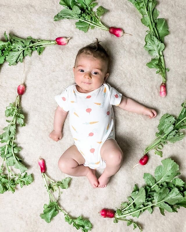 Best spring harvest yet!
.
.
#farmbaby #radishes #springharvest  #homesteader