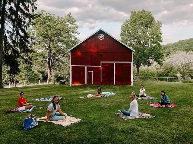 Social distancing Book Club on the farm!