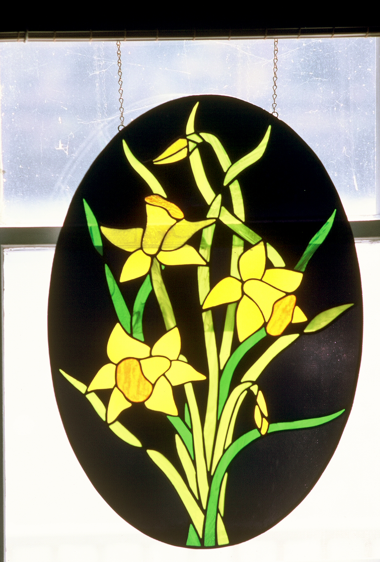 Spring Daffodils panel