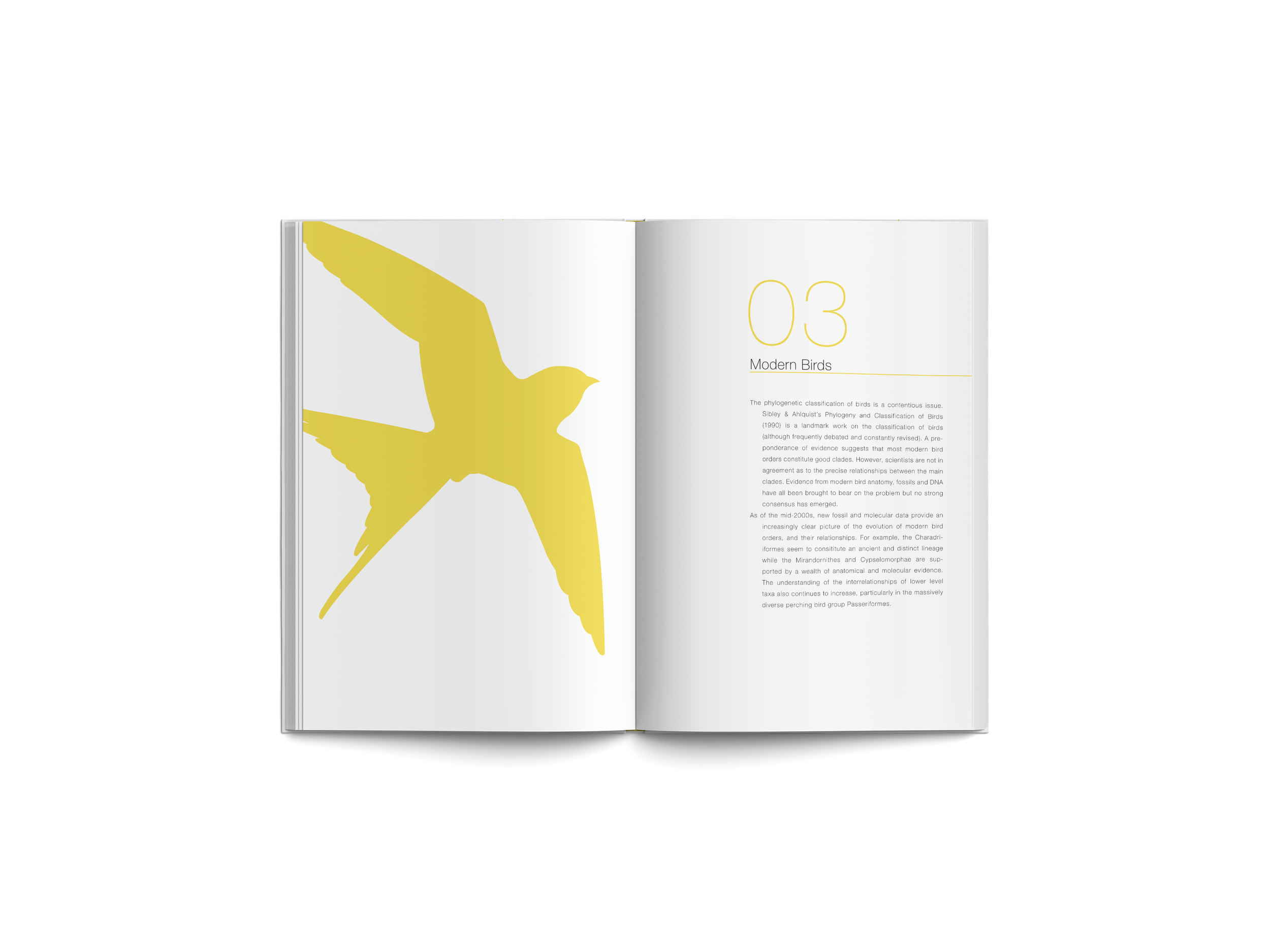 FeatherSpread09.jpg