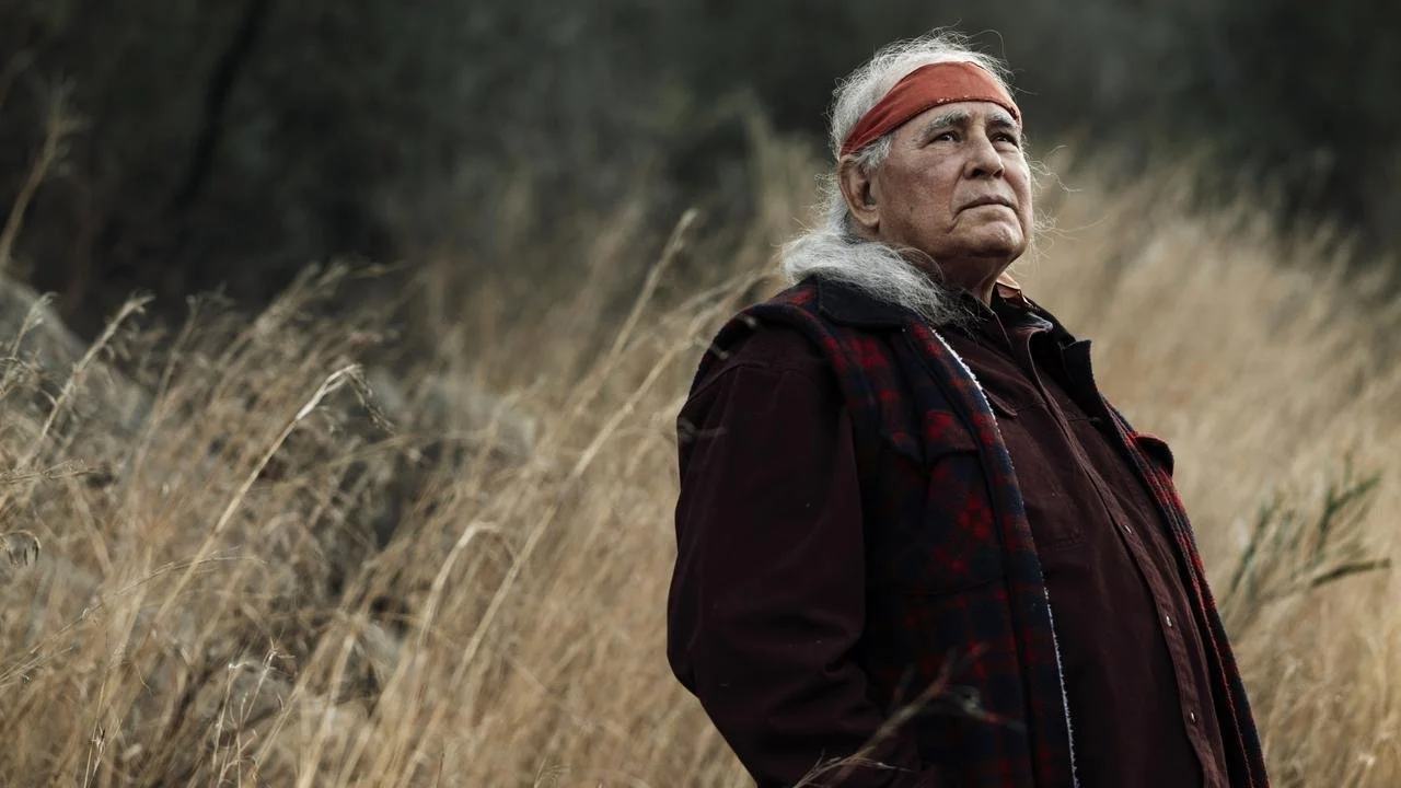 Reviews &amp; Words of Praise