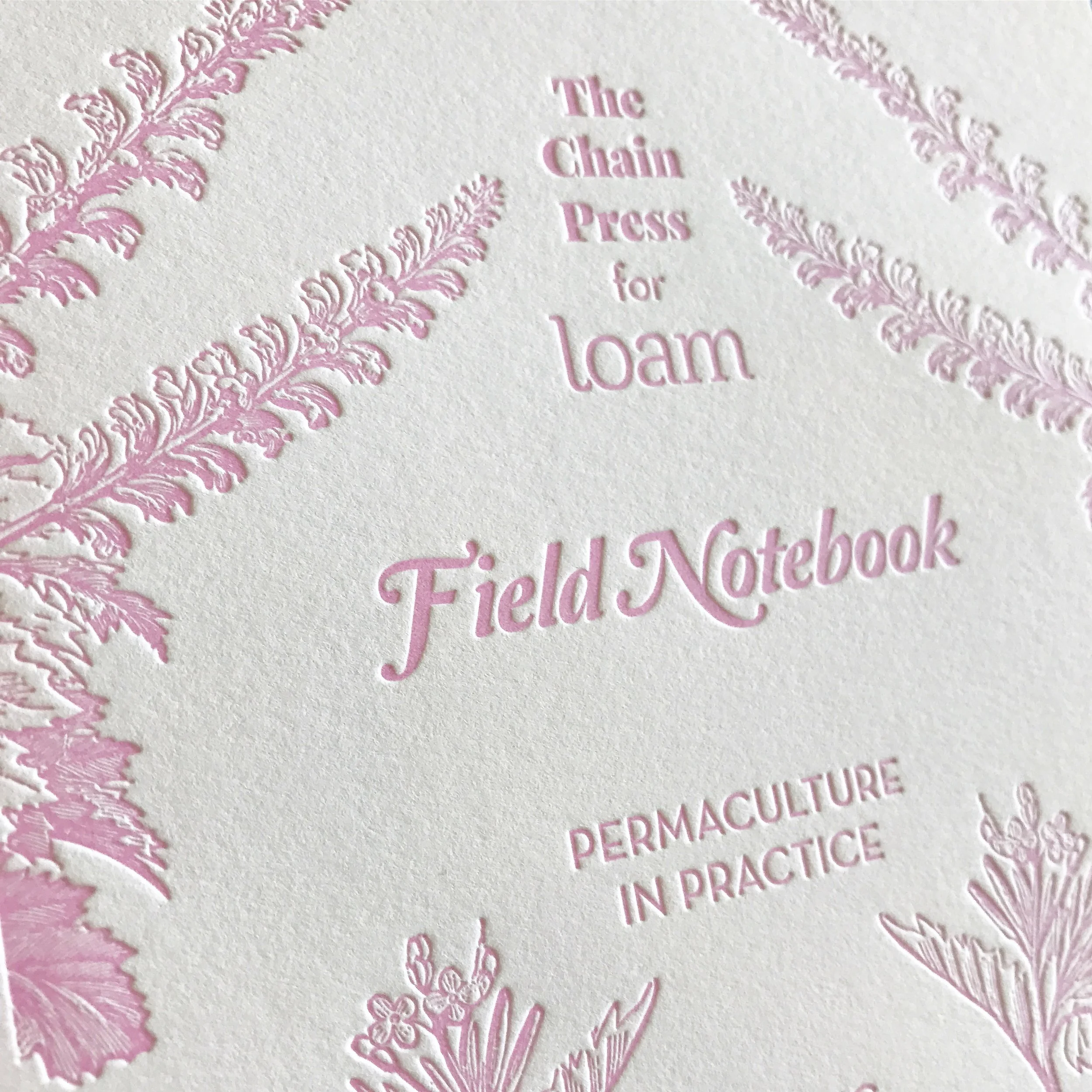 Chapbook closeup.JPG