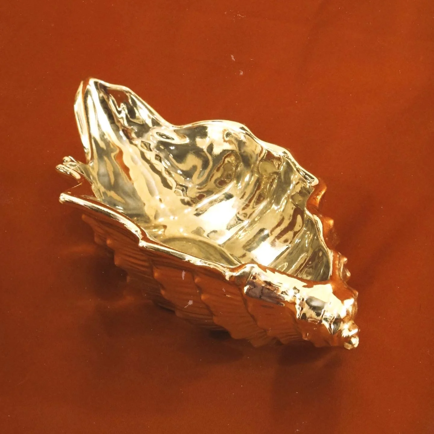 silver conch 3.JPG