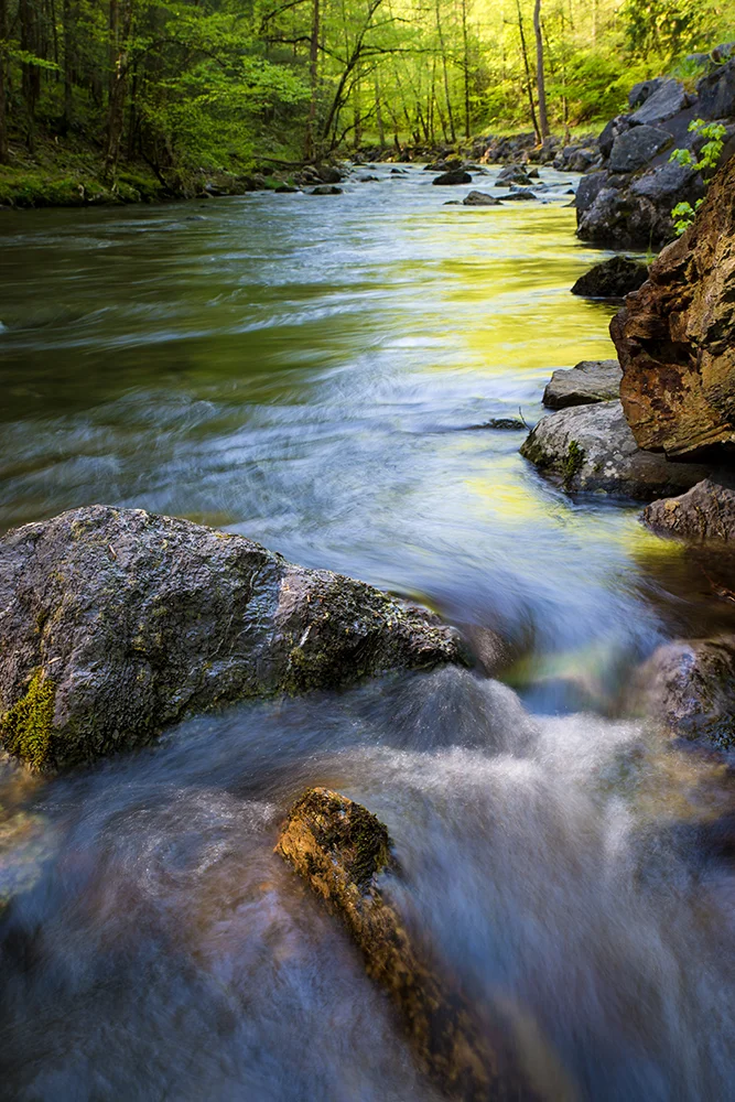 Tremont River reflections