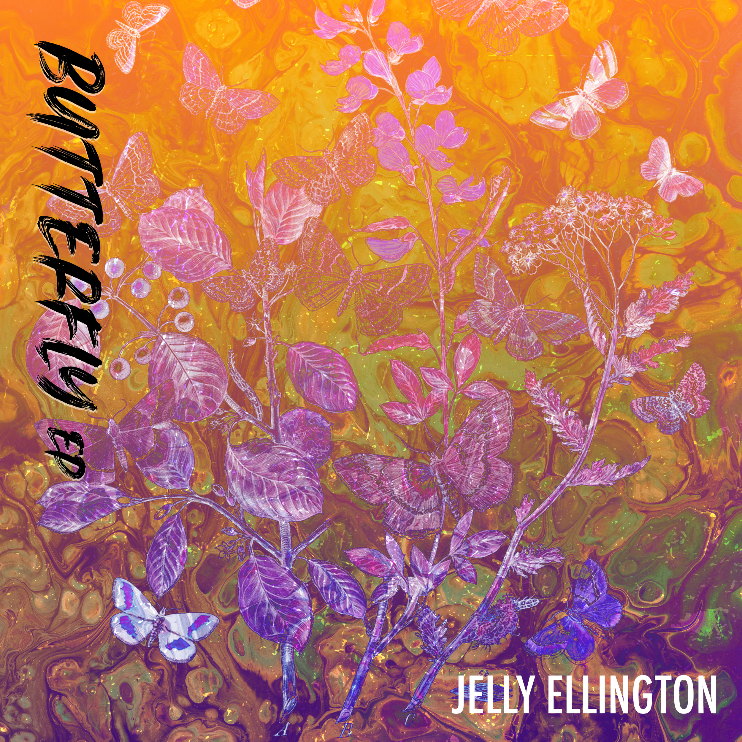 jellyellington_butterfly.jpg