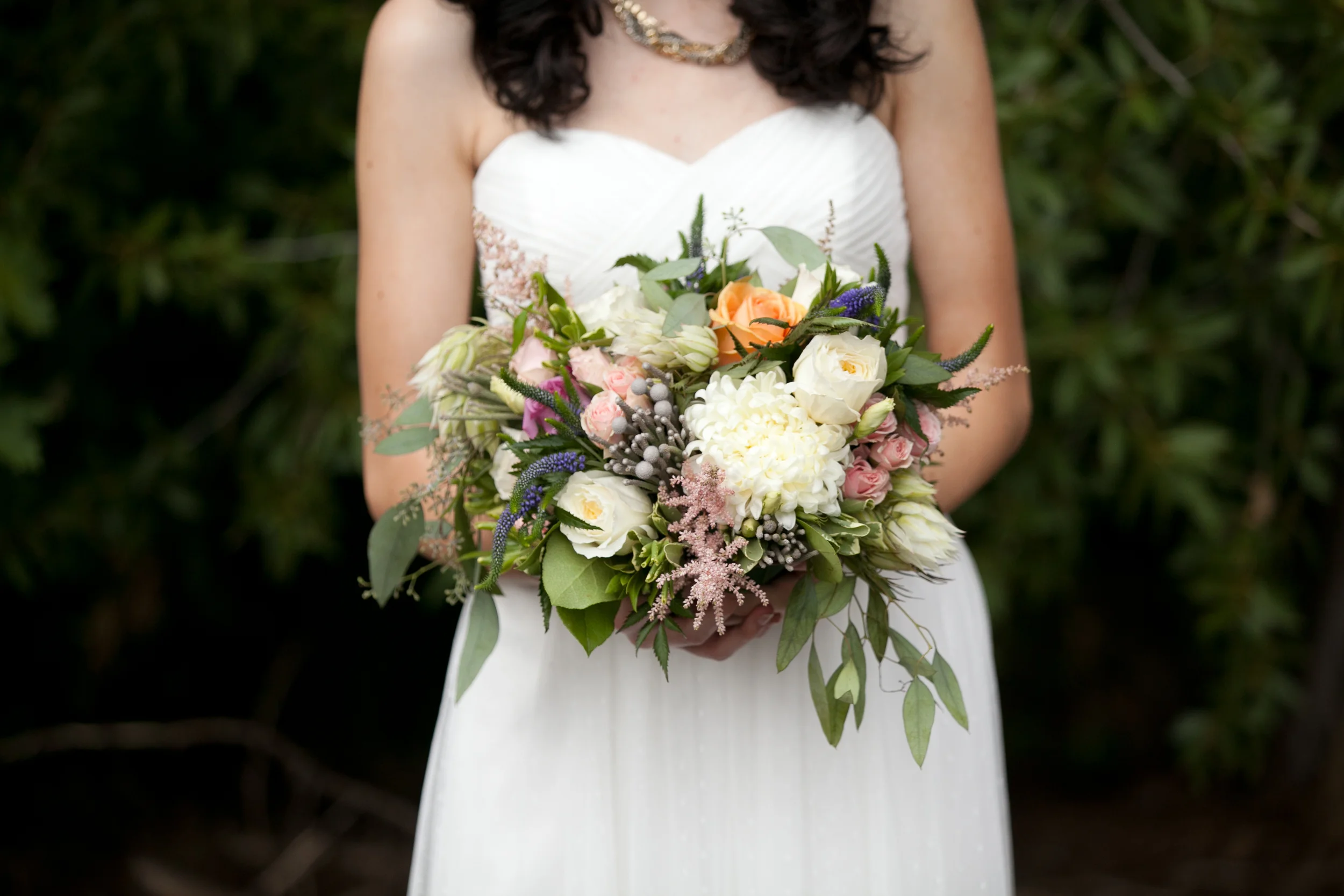 Vendor+Images-291-2891430285-O.jpg