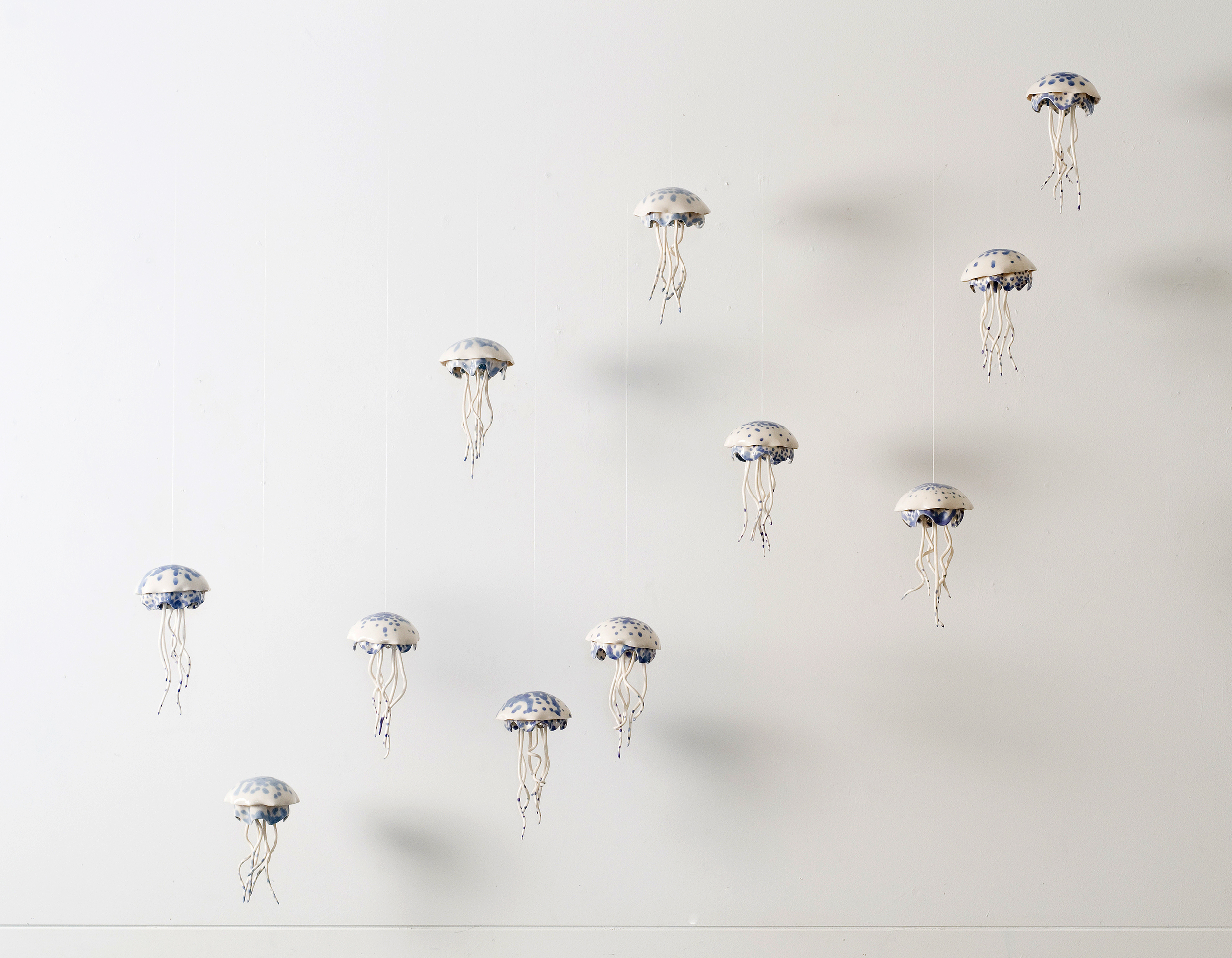  The Cloud Of Jellyfish. 