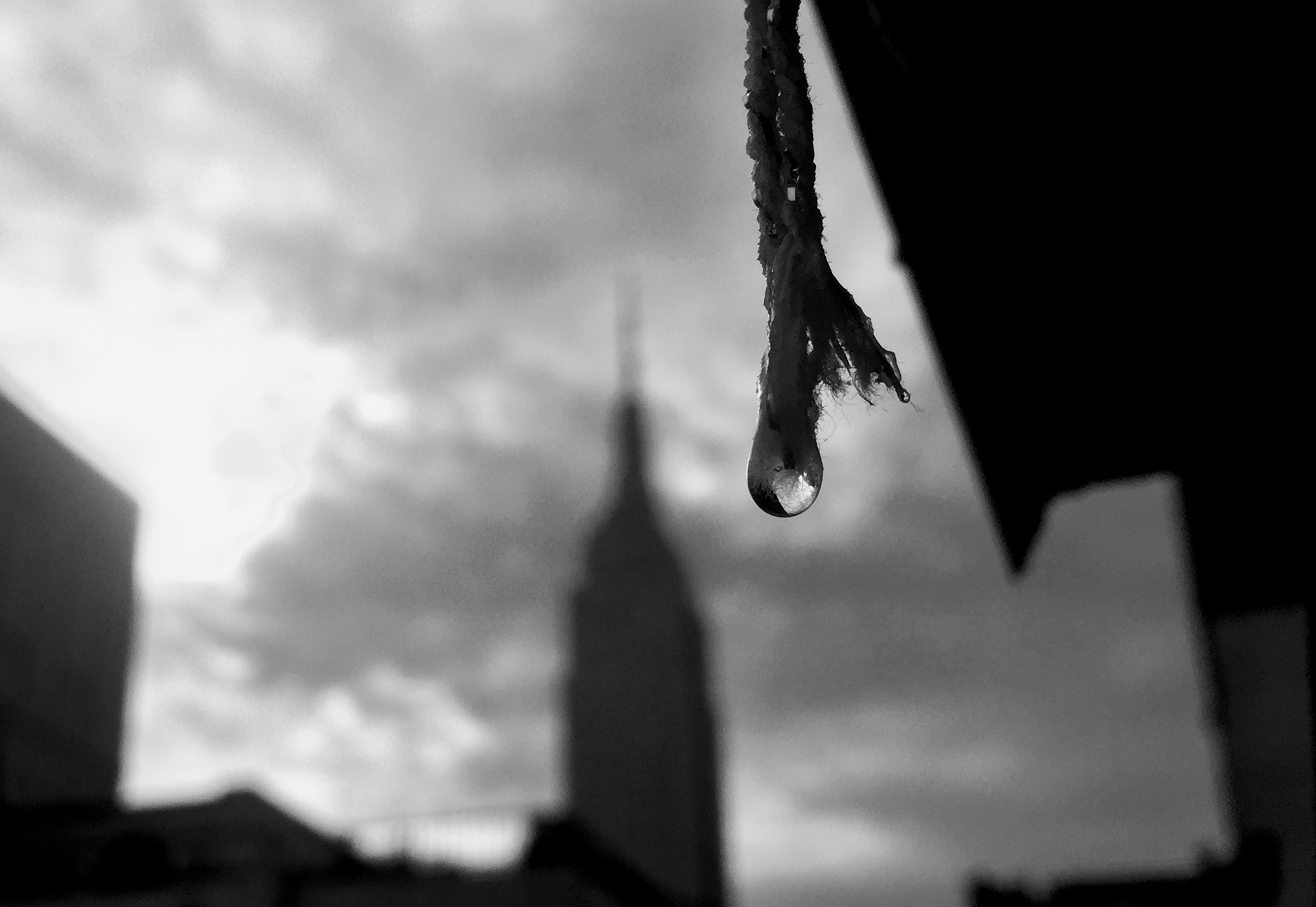 IMG_8407.jpg
