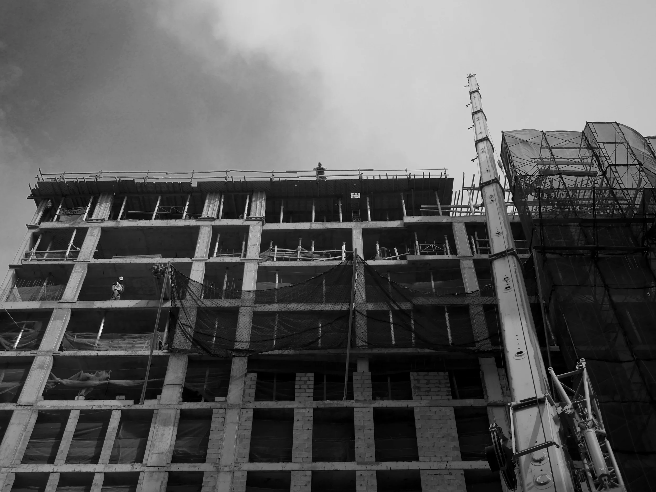 P1000249.jpg