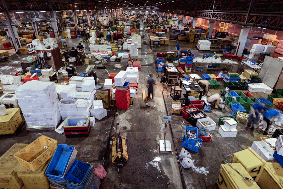 Cinemagraphs of Jurong Fishery Port and Hai Sia Seafood 