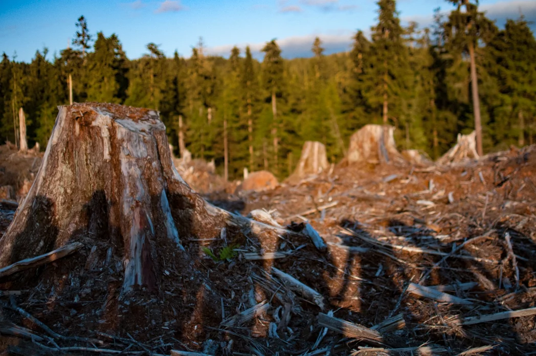 Sisters Bonded In Action in the Tongass National Forest, 2016; Photo by Koa Kalish.