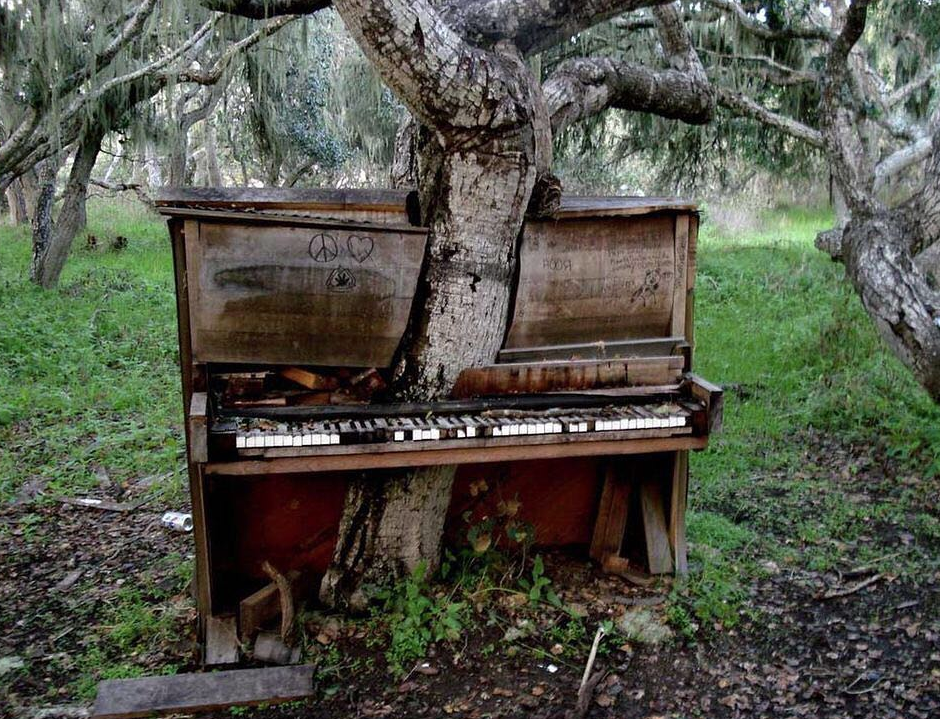 Living art installation by Jeff Mifflin; Photo by Hayley