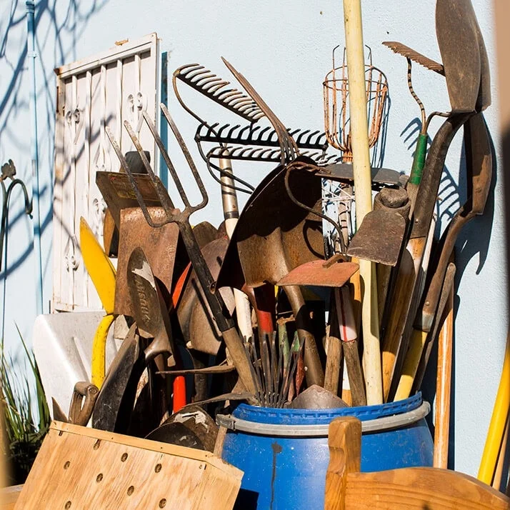 RON FINLEY on Cultivating the Garden of the Mind /79