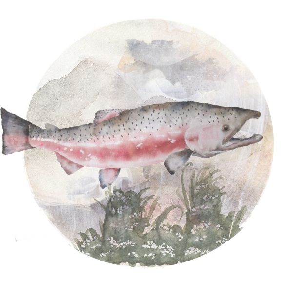 For-The-Wild-Research_Salmon_2017.png