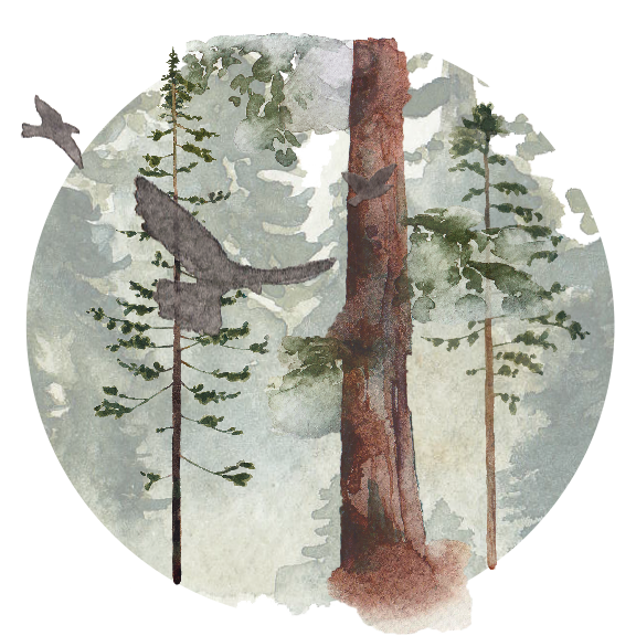 For-The-Wild-Research_Redwoods_2017.png