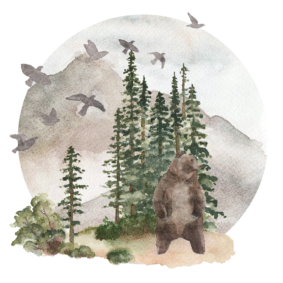 For-The-Wild-Research_Tongass.png