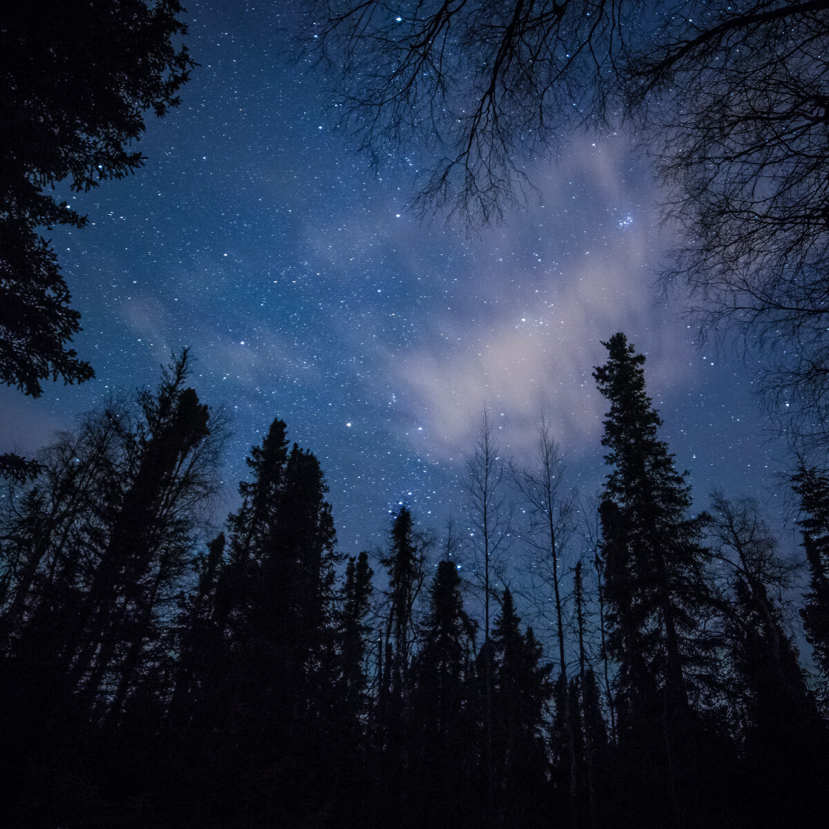Dr. CHANDA PRESCOD-WEINSTEIN on the Night Sky and Liberation Discourse