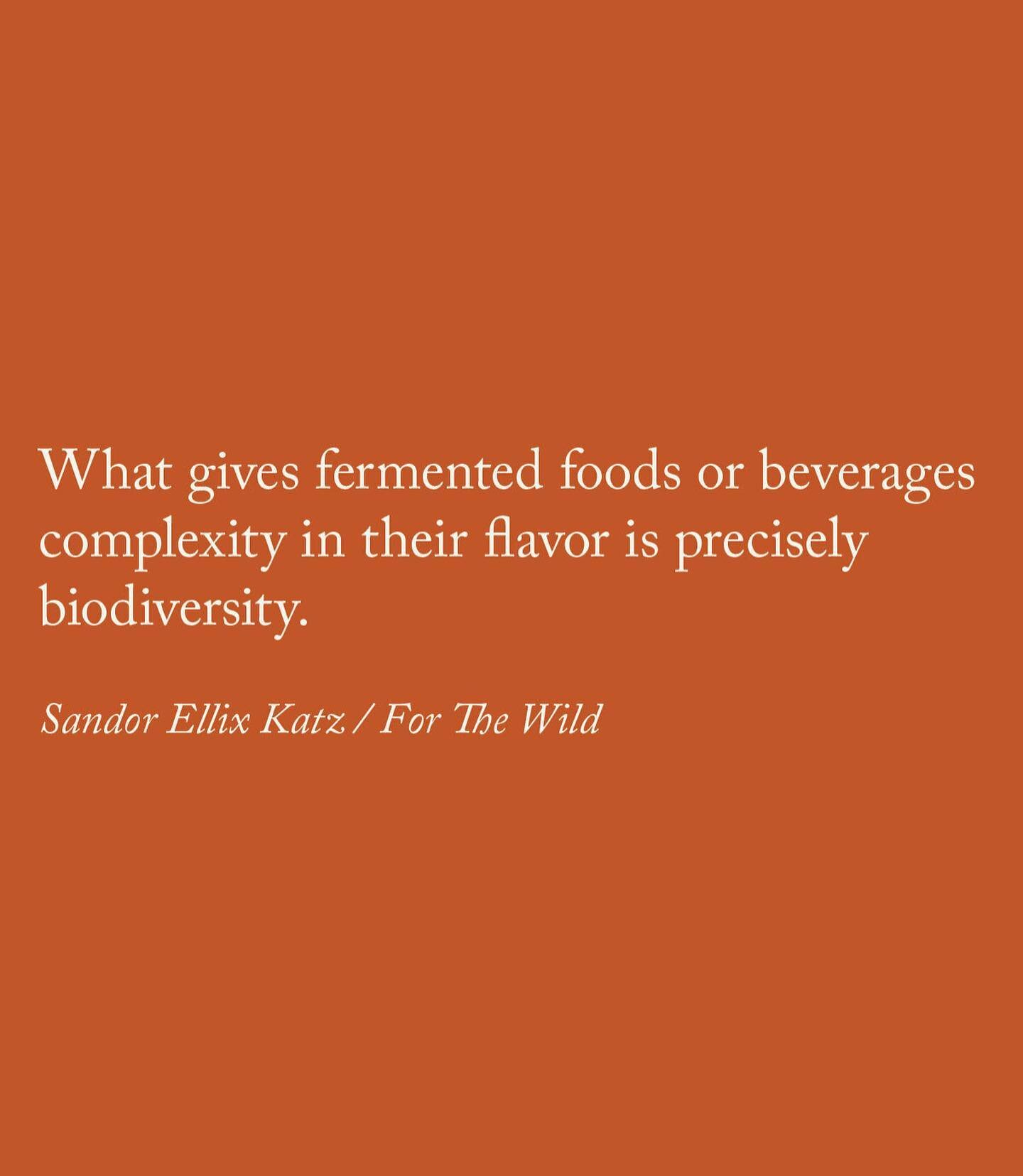 SANDOR KATZ on Cultures of Fermentation: Notes on Biodiversity&nbsp;

Using fermentation as a starting point for a fascinating conversation on what makes up life on earth, what gives our food its flavor, and what builds human and more-than-human conn