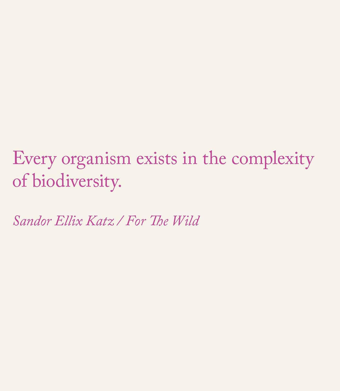 SANDOR KATZ on Cultures of Fermentation: Notes on Interdependence&nbsp;&nbsp;

Biodiversity is not simply a plethora of organisms, it is entanglement, intimacy, and connection. In this episode, @sandorkraut shares how biodiversity has shaped the basi