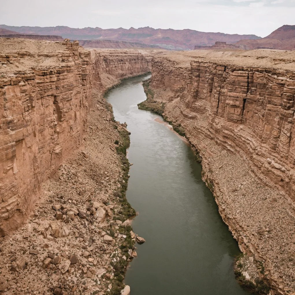 Transcript: Deeply Rooted: And God is the Water with LYLA JUNE /176