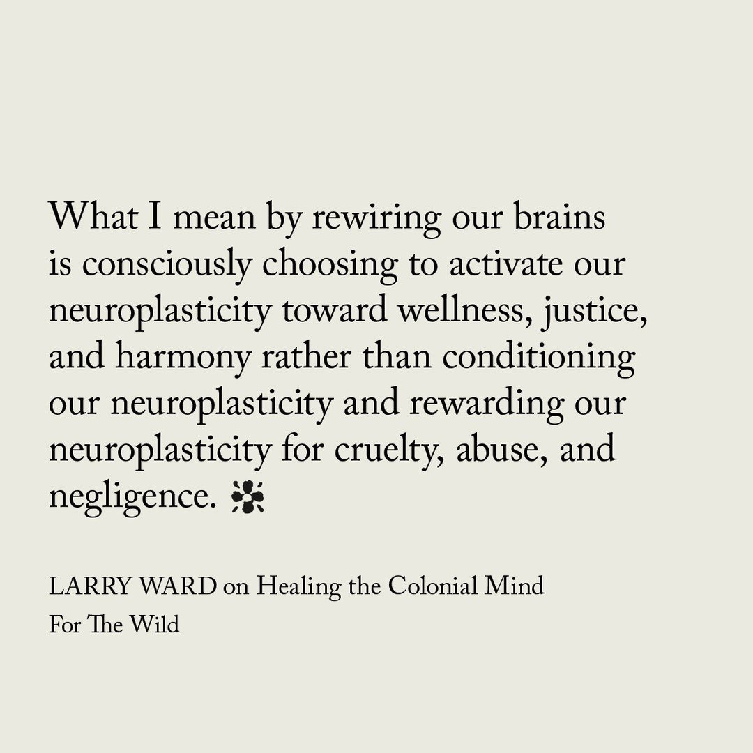 Excerpts from our zine &ldquo;From the Well of Resistance: The More than Human Call Towards Change&rdquo; 

1
What I mean by rewiring our brains is consciously choosing to activate our neuroplasticity toward wellness, justice, and harmony rather than